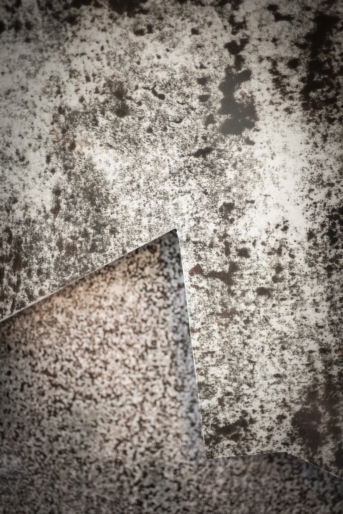 Luisa-Duarte-Alternate-Pathways-22.jpg