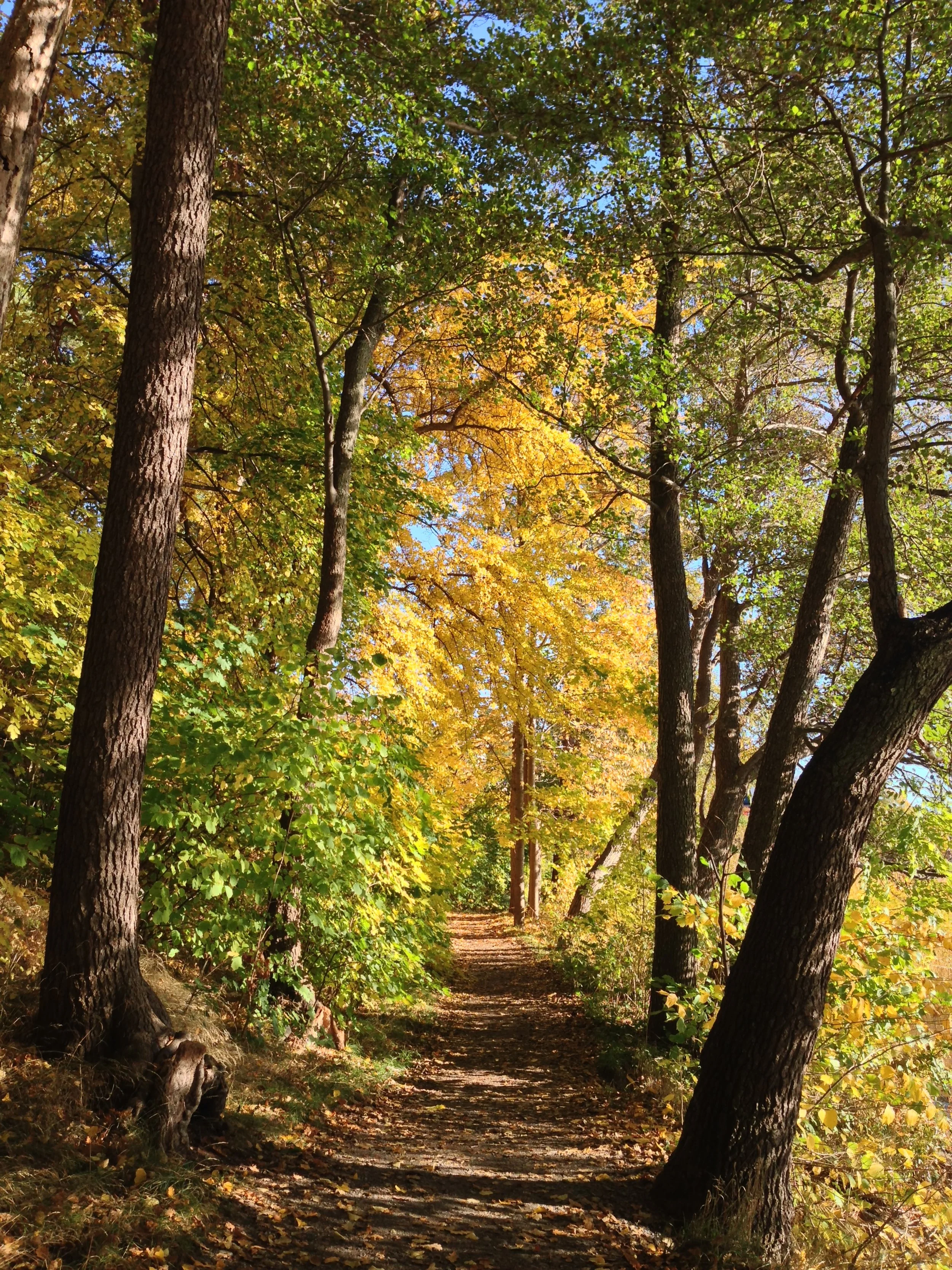 Essential Strategies of Healing Sexual Trauma and Sexuality -Elspeet, Netherlands Part 2