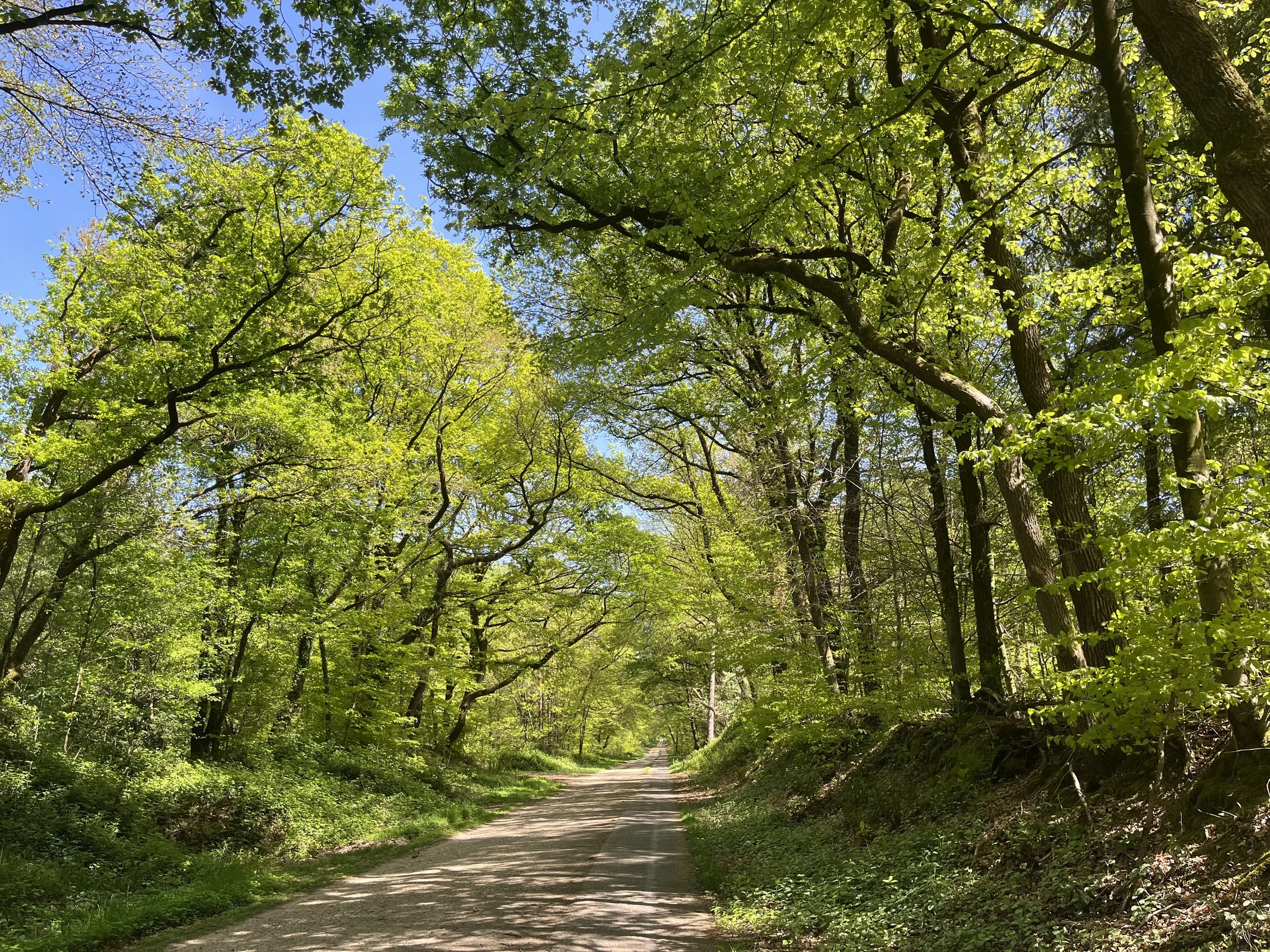 Uncovering the Roots of Sexuality Trauma