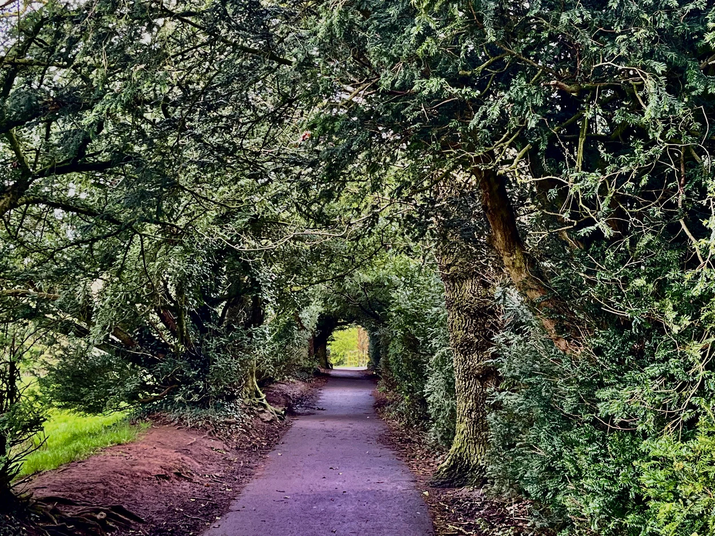 Further Strategies for Healing Sexual Trauma and Sexuality Part 4 of 4 - Groesbeek, Netherlands