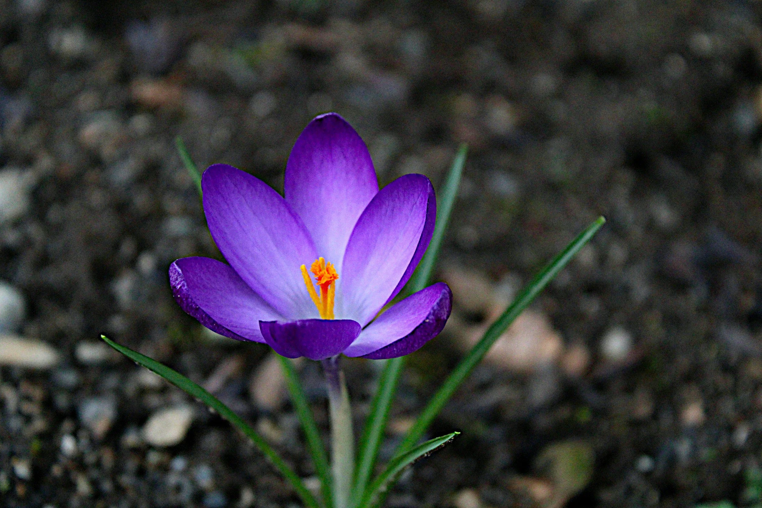 Essential Strategies for Healing Sexual Trauma and Sexuality - Stockholm, Sweden