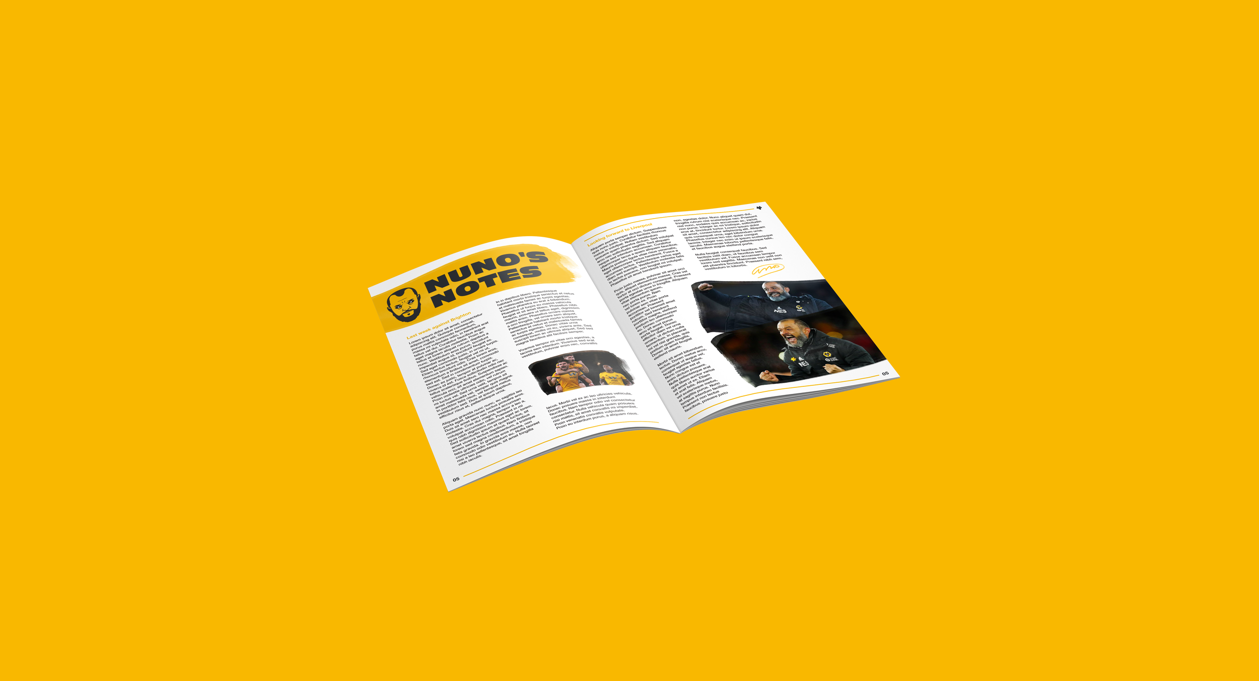 Wolves 2019/20 nuno notes programme.png