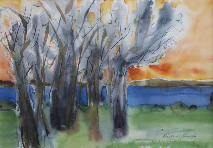 Salter's Trees 1996 14.50" x 20.50" Watercolor on Paper
