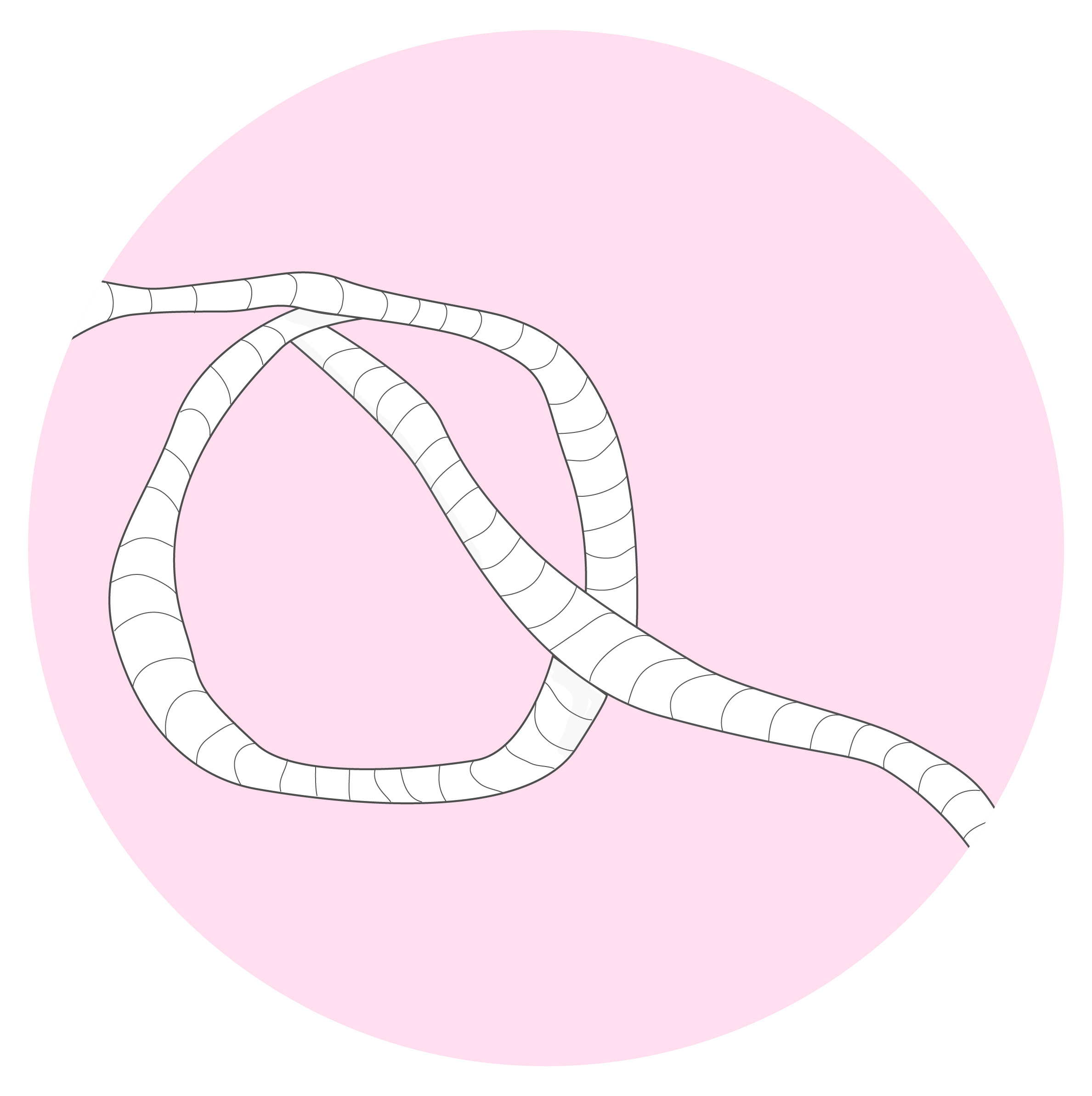 website elements-16.png