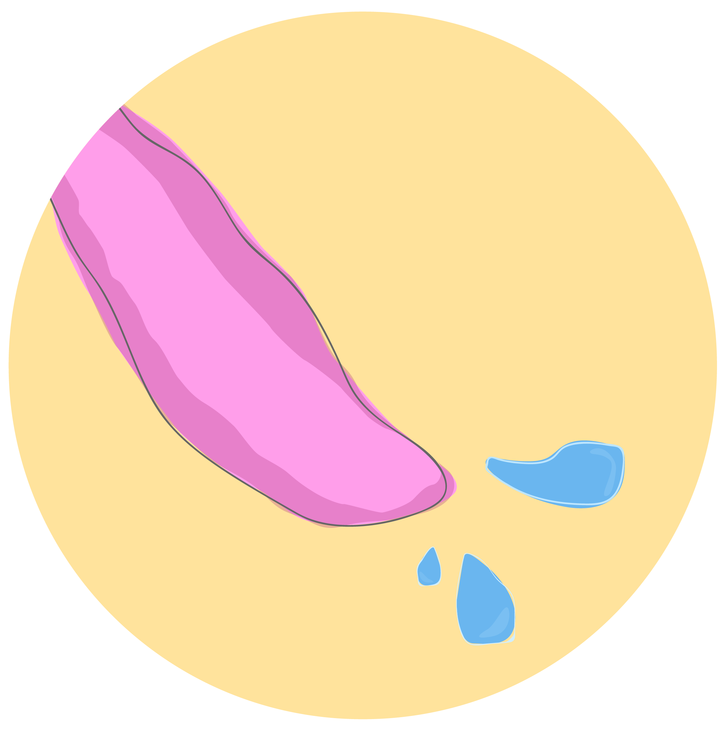 website elements-21.png