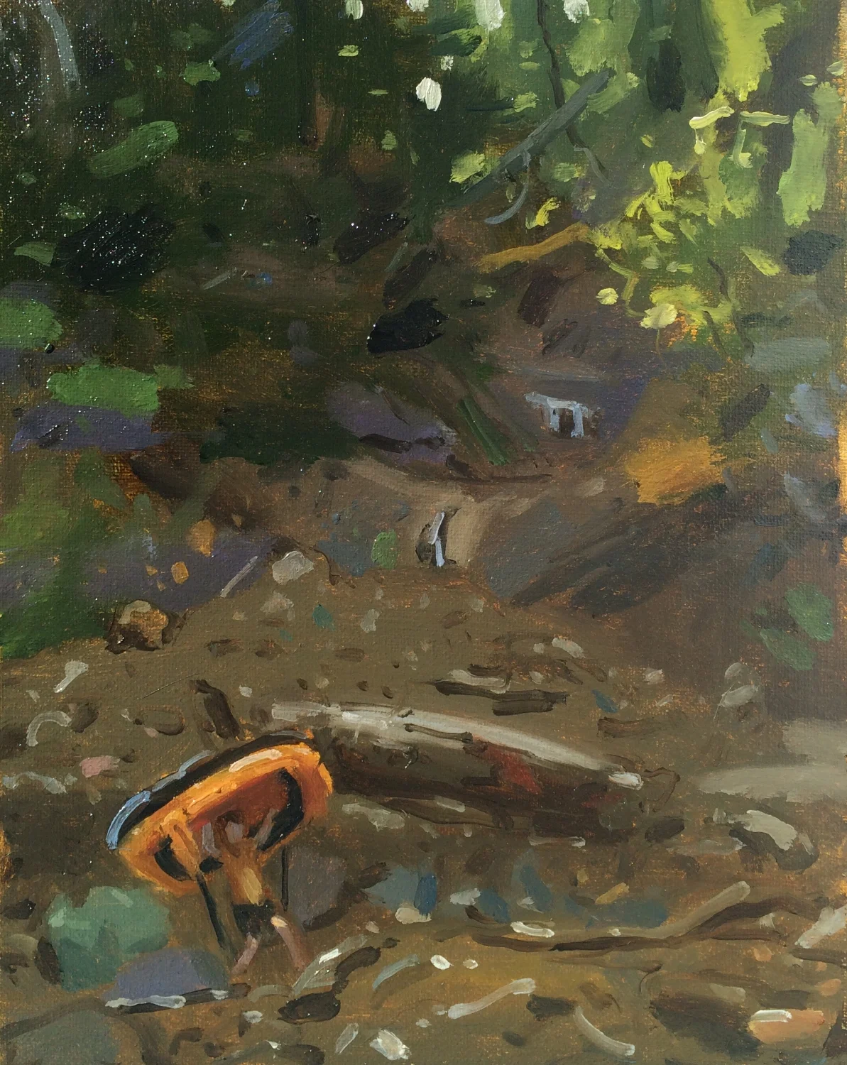 Collowash Mudslide Portage