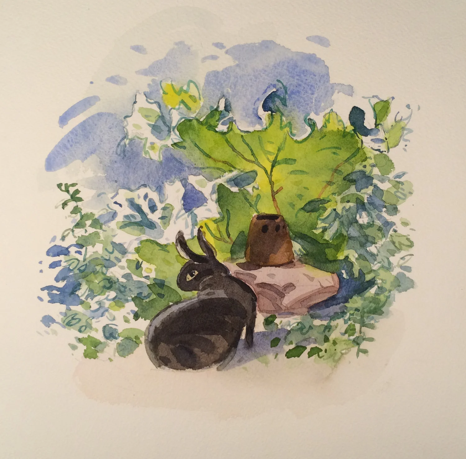 Bruno in the rhubarb
