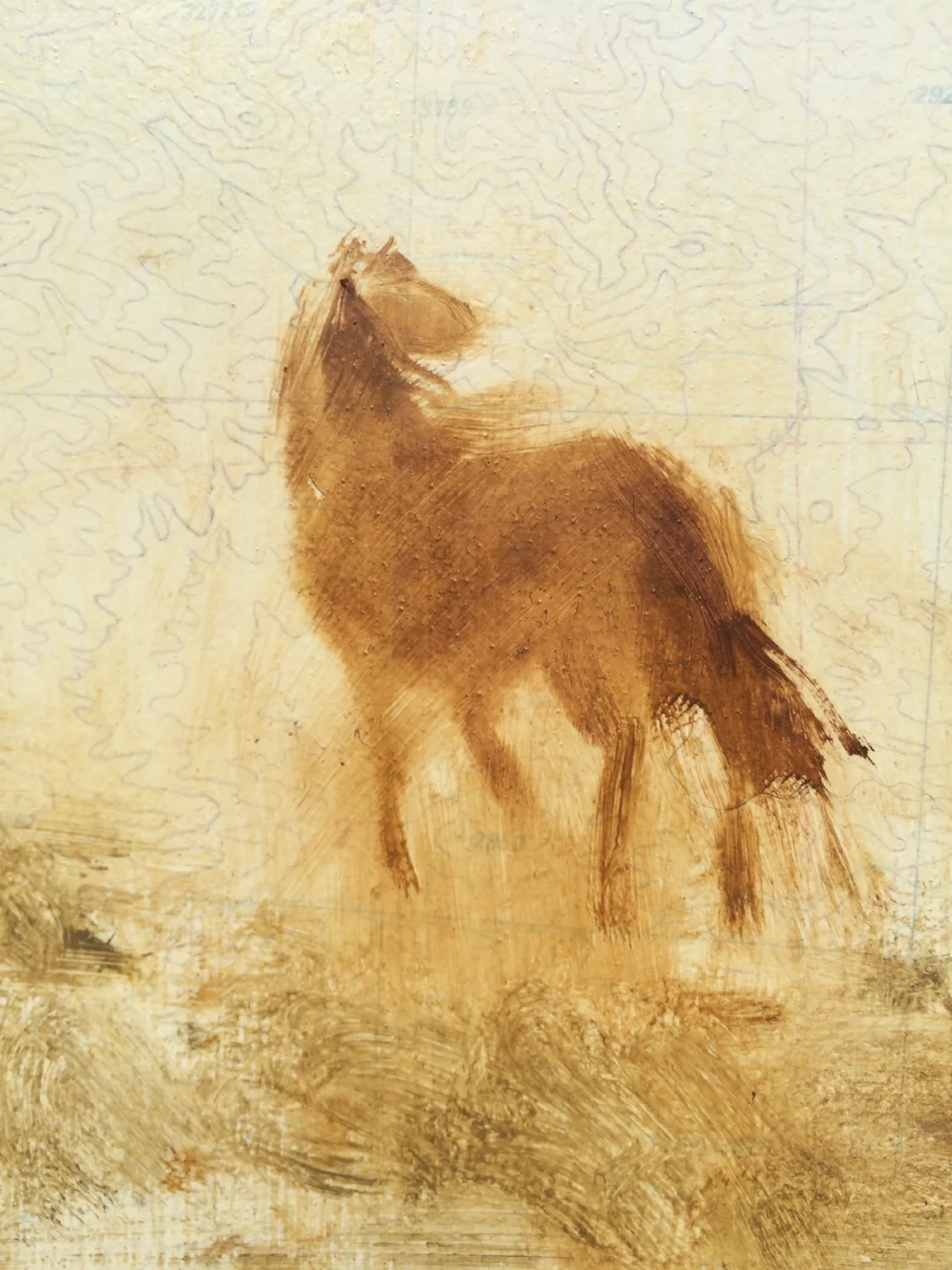 detail