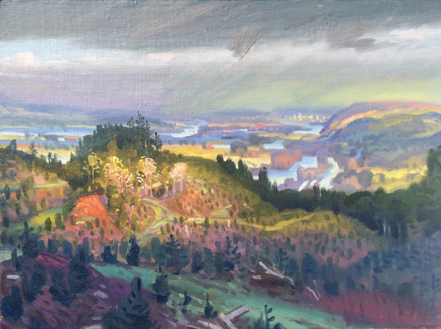 Industrial Landscape with Golden Retriever