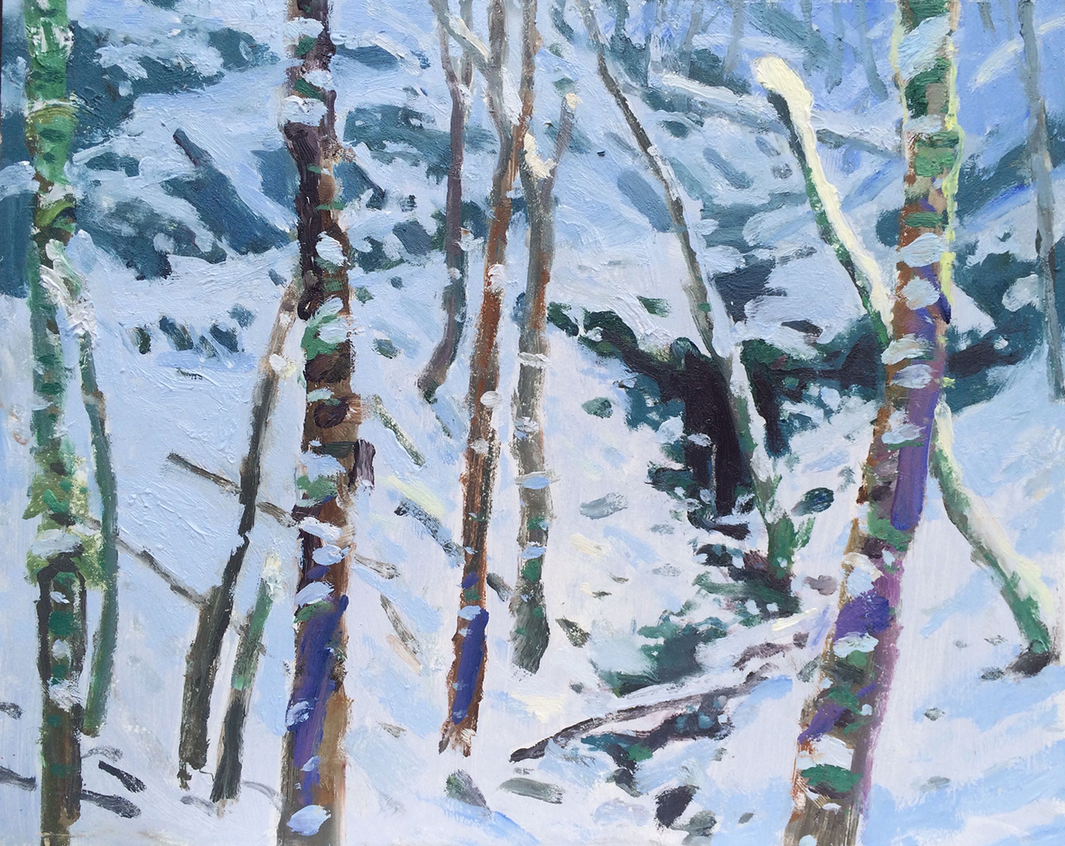Snowfall in the tiny grotto
