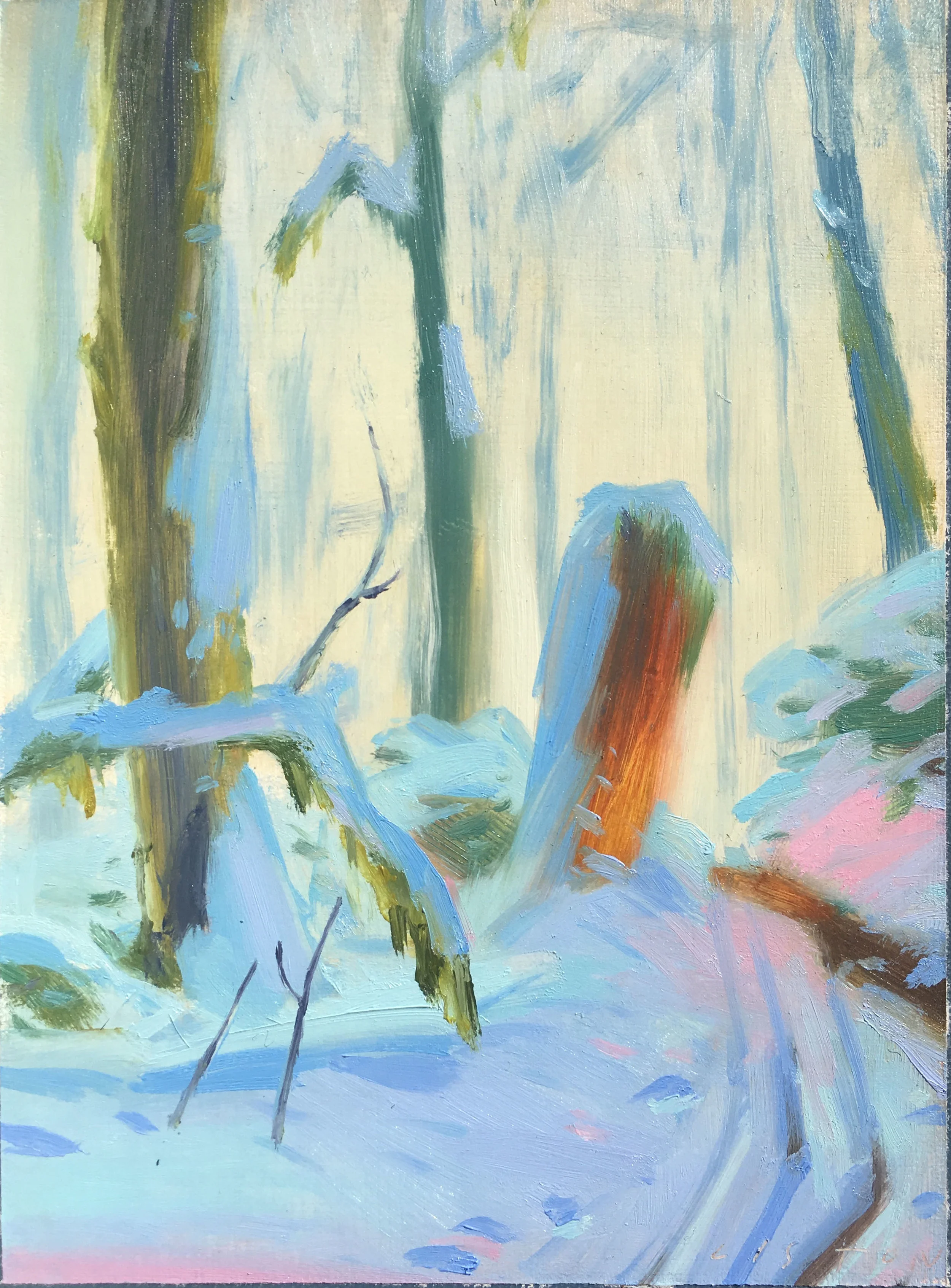 Cedar Snag book cover small file.jpg