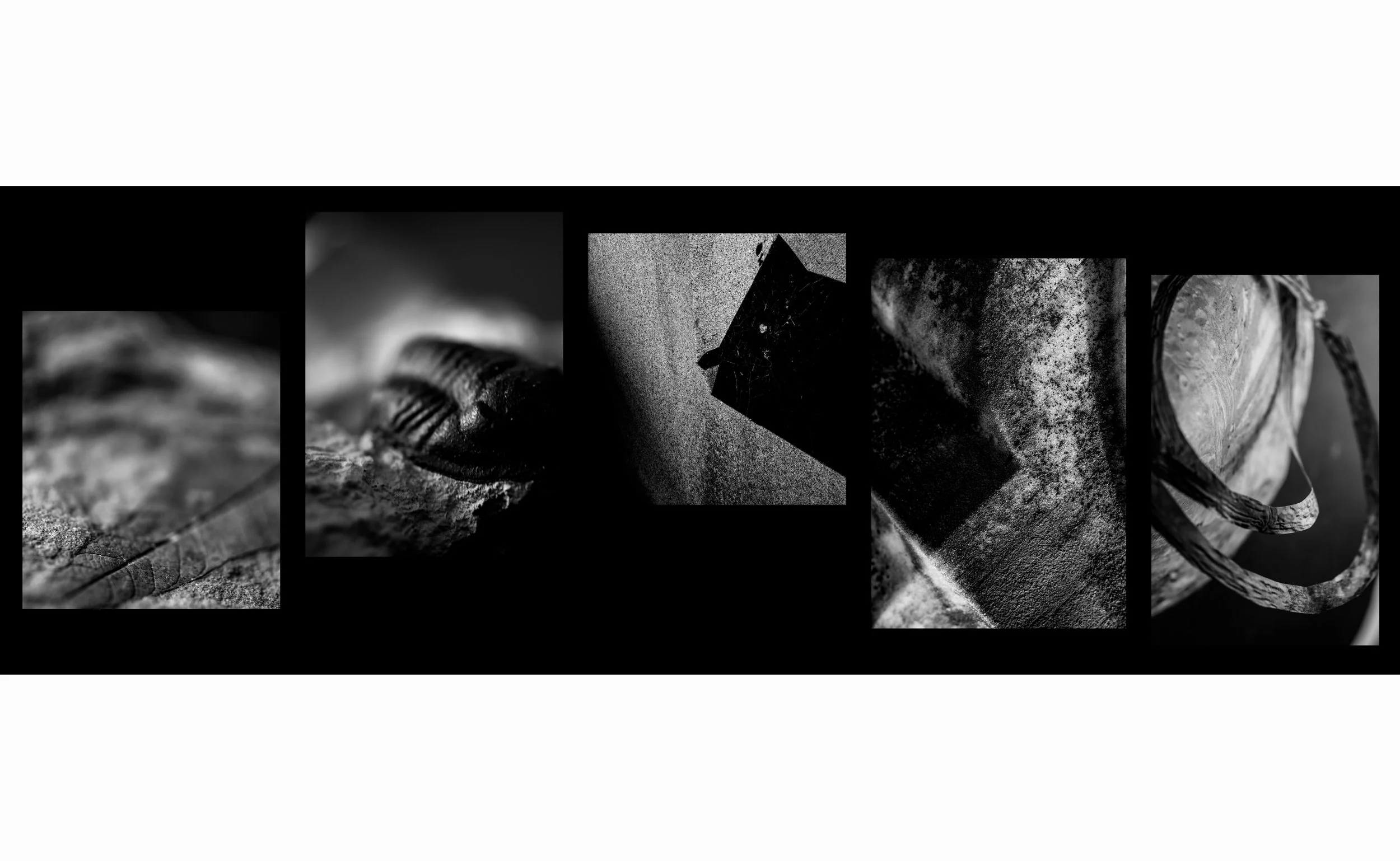 Recollection 004