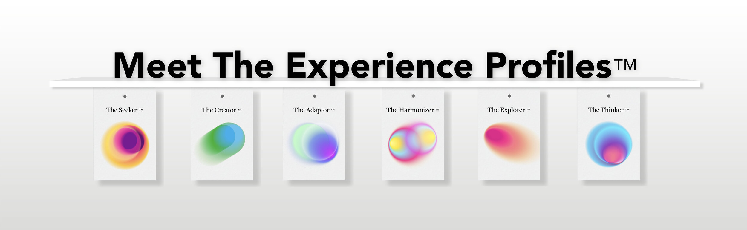 meet the experience profiles