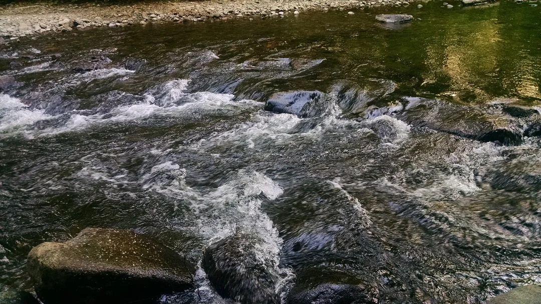Self Care Club #3: Vitalism and Hydrotherapy