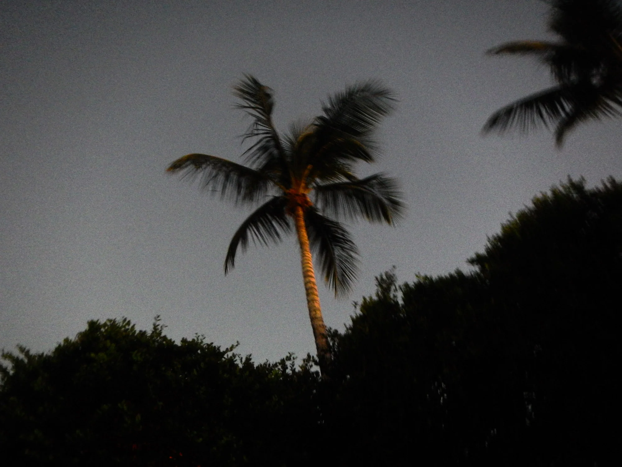 141018fl-45.jpg