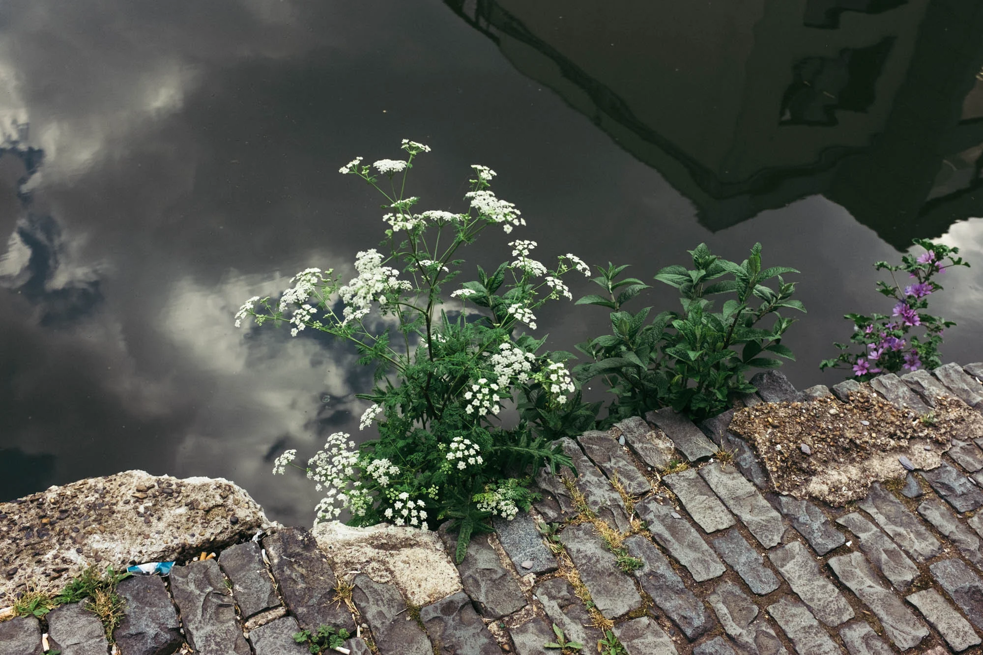 150630fujic2-25-2.jpg