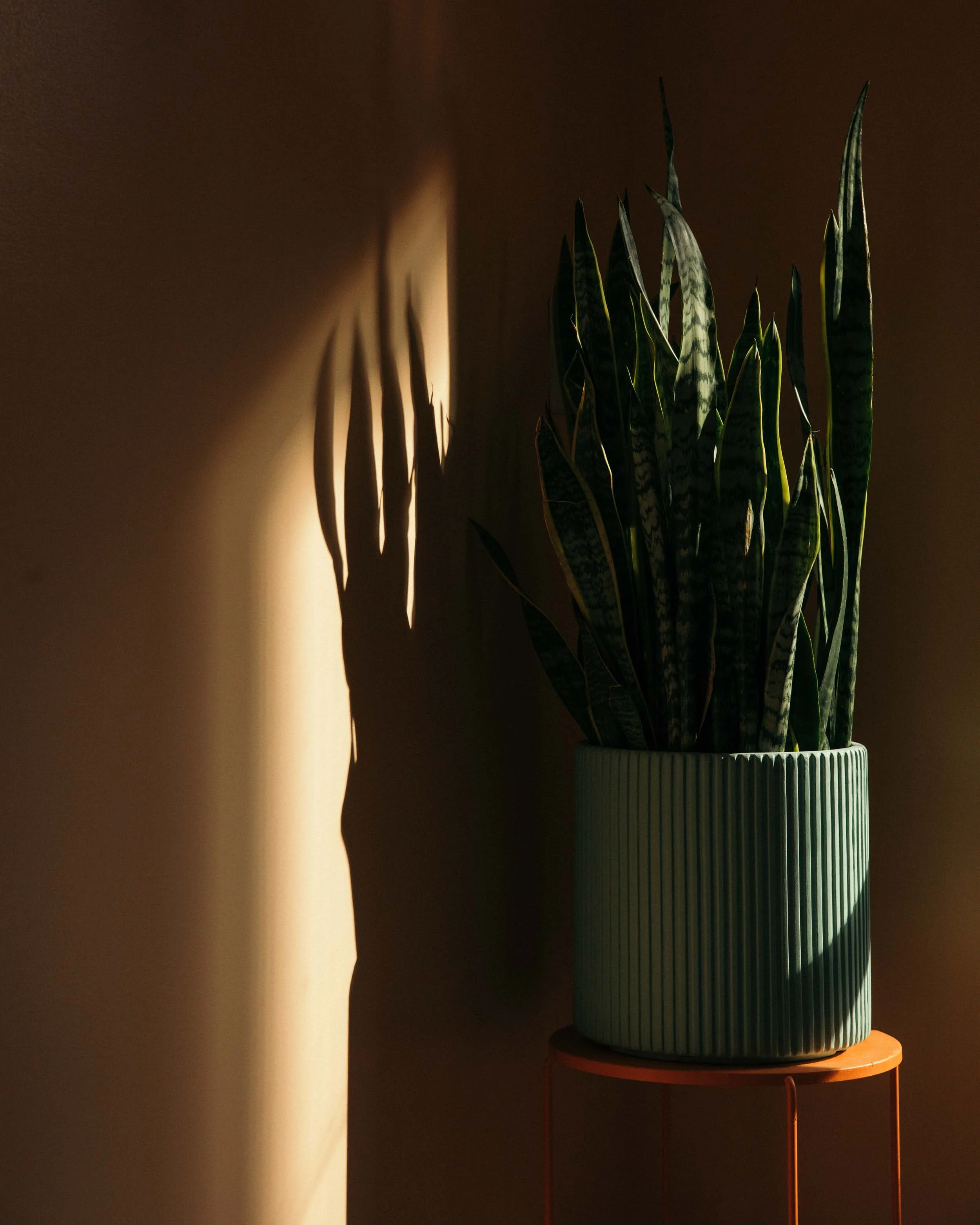 untitled-19.jpg