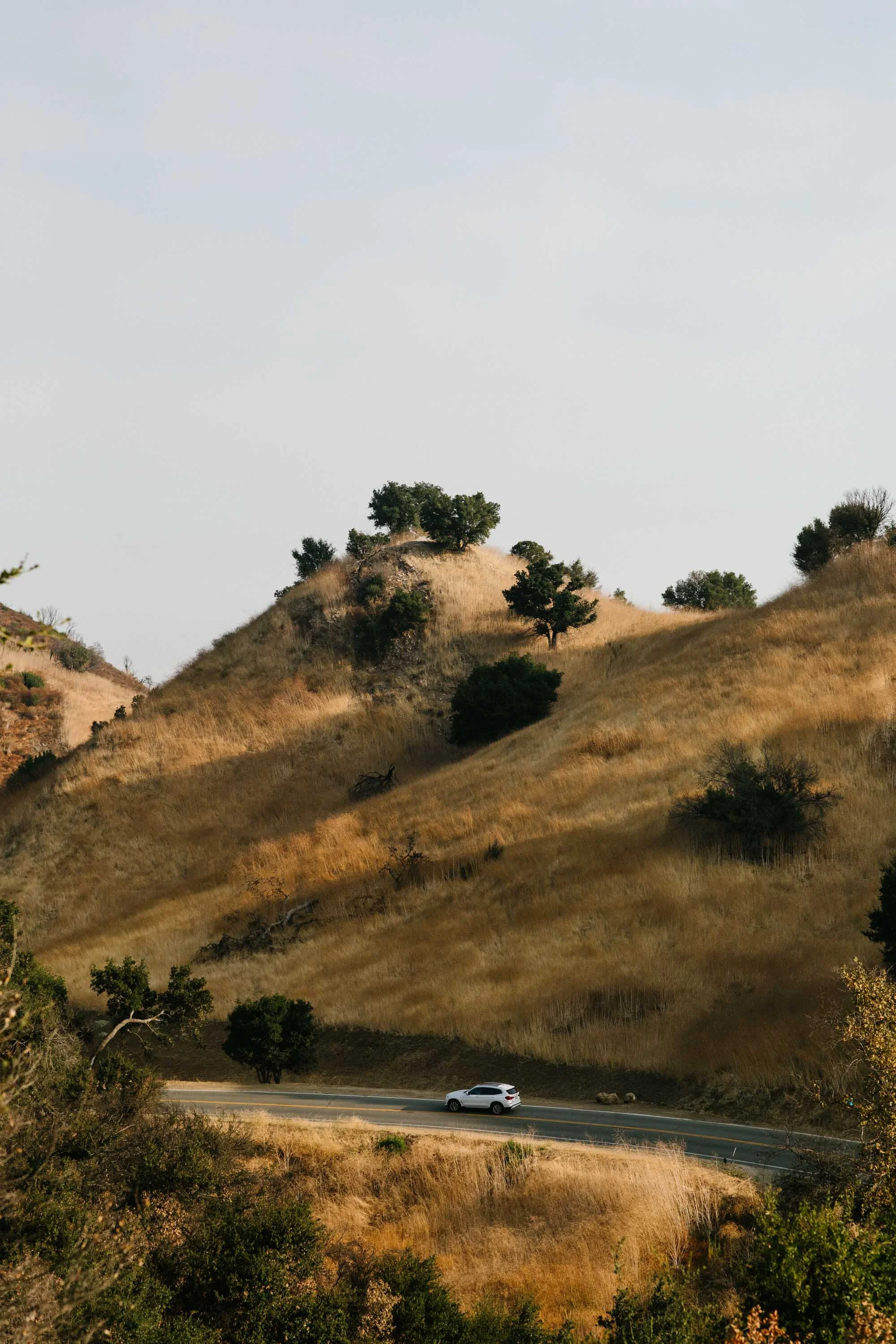 191014_19D30015_Auto7-60-2.jpg