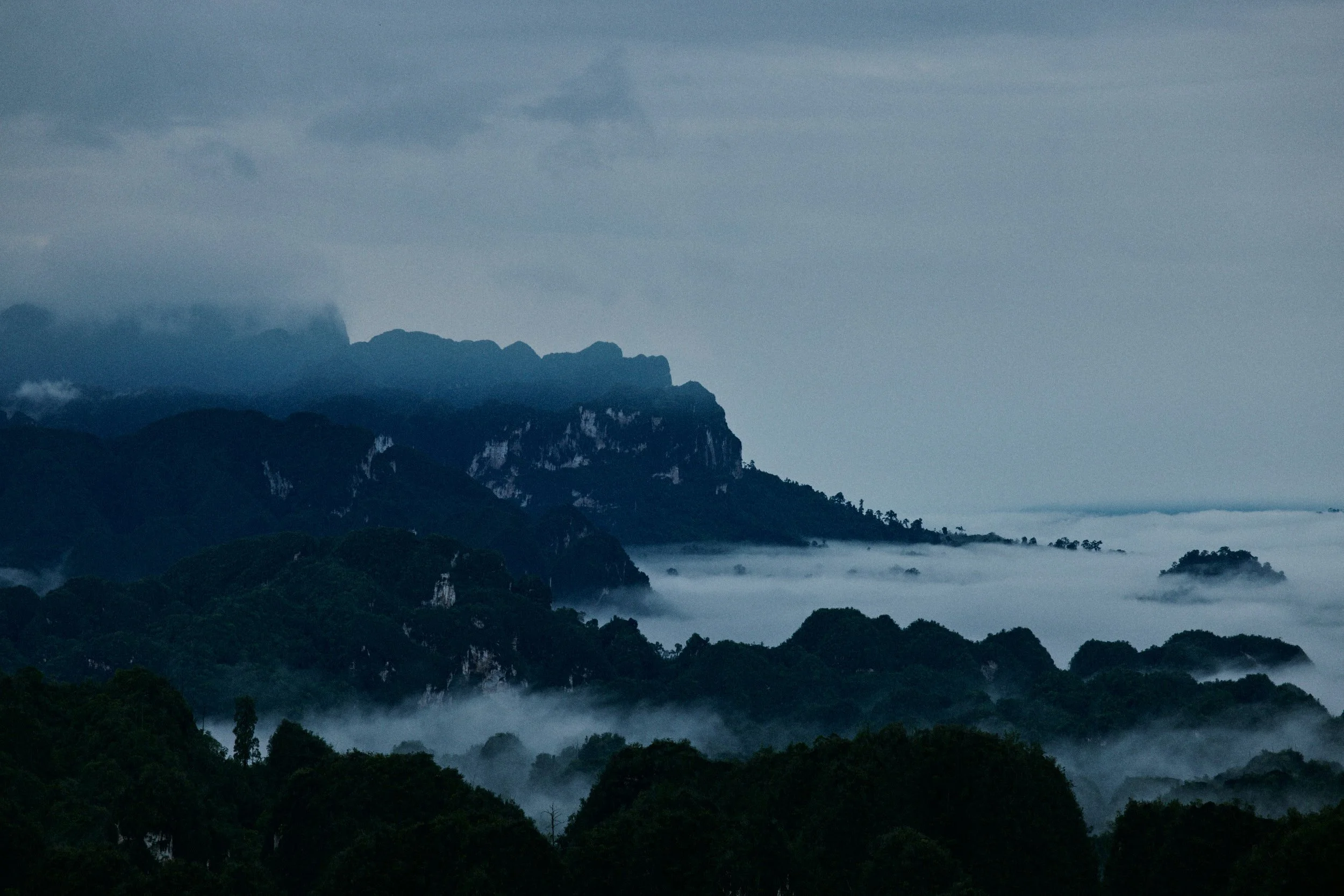 ARHAUS X THE NATURE CONSERVANCY - BORNEO