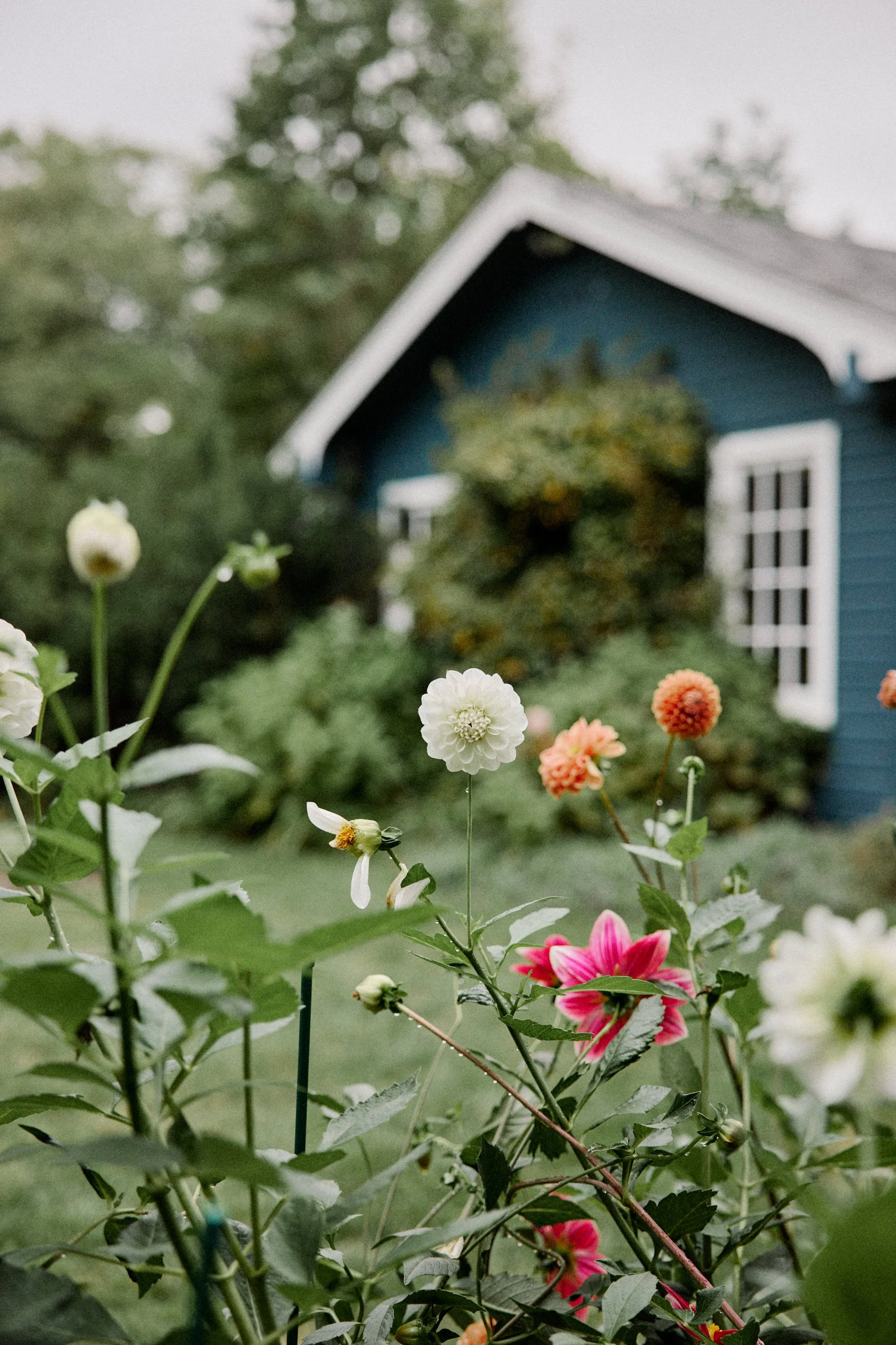 250925 CCM D5 2025 01500.jpg