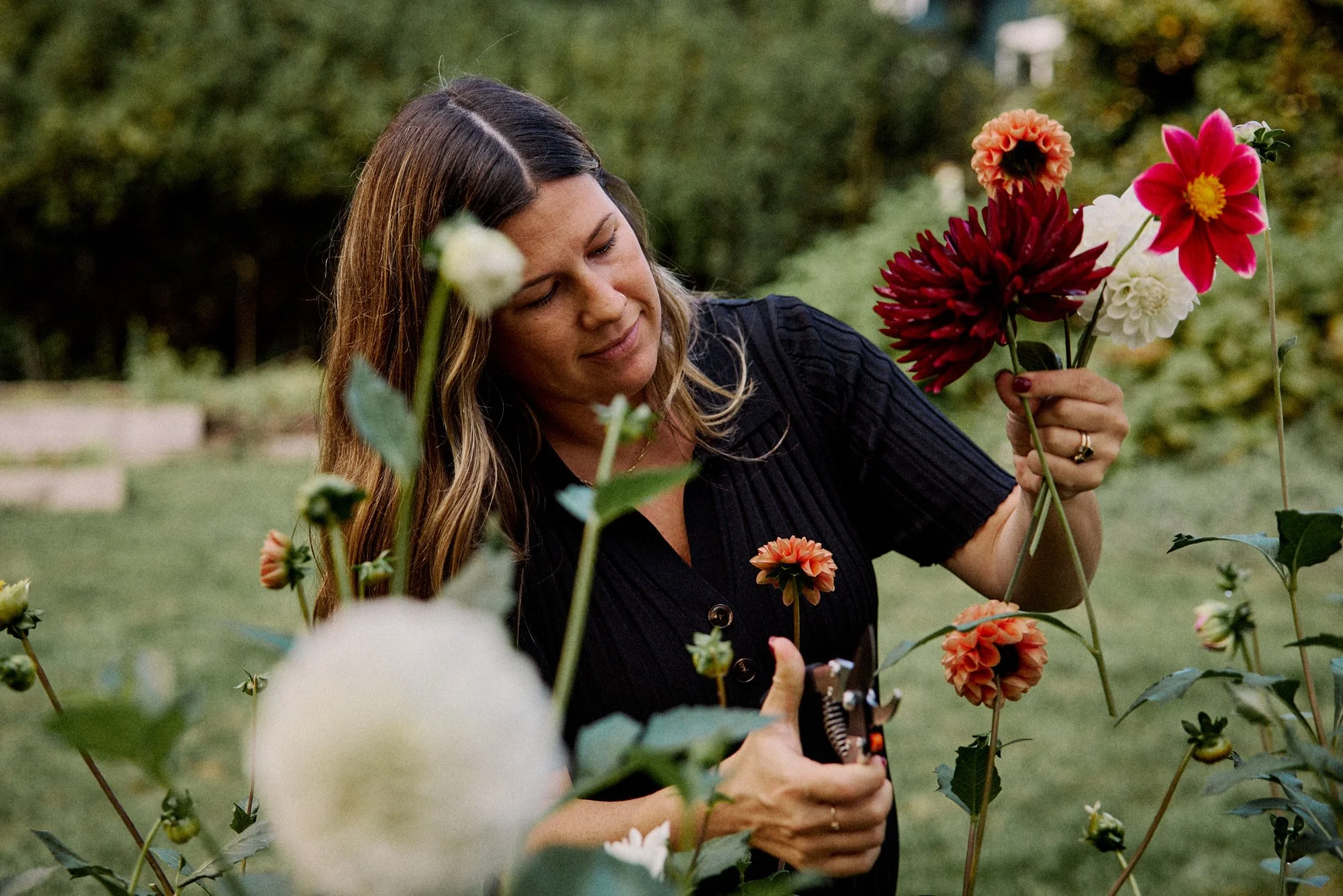 250925 CCM D5 2025 01662.jpg