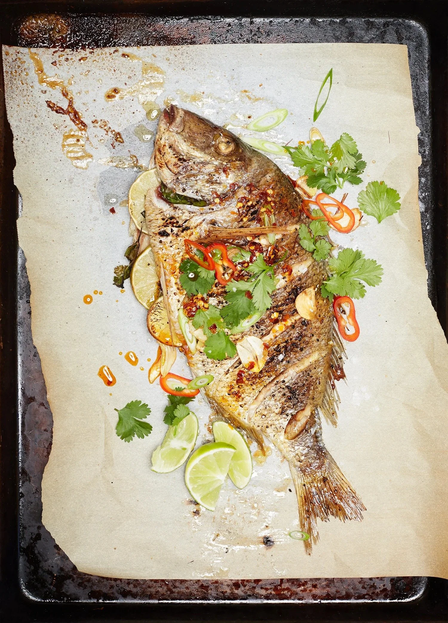160412+cv+fish2287.jpg