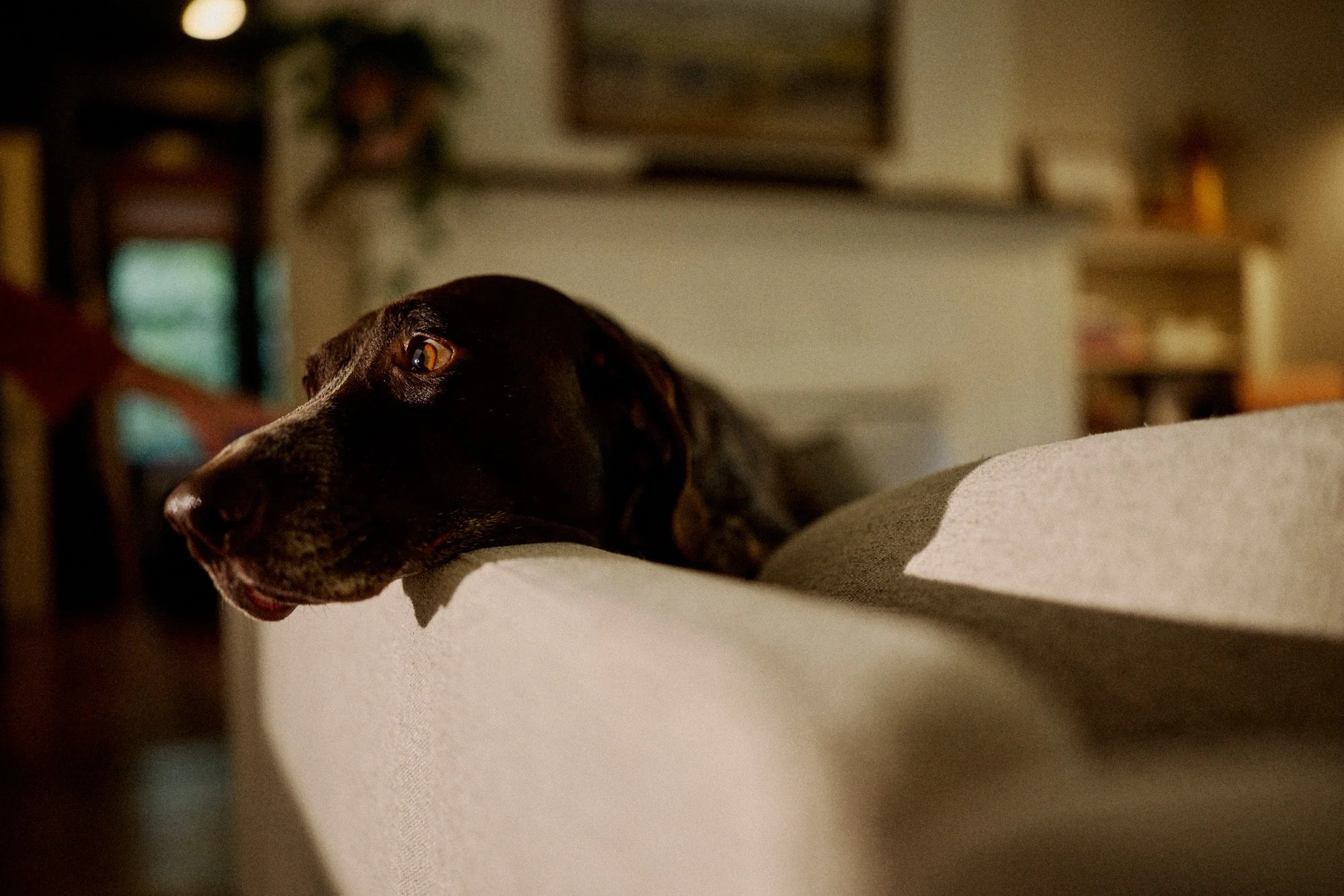 250925 CCM D5 2025 01326.jpg