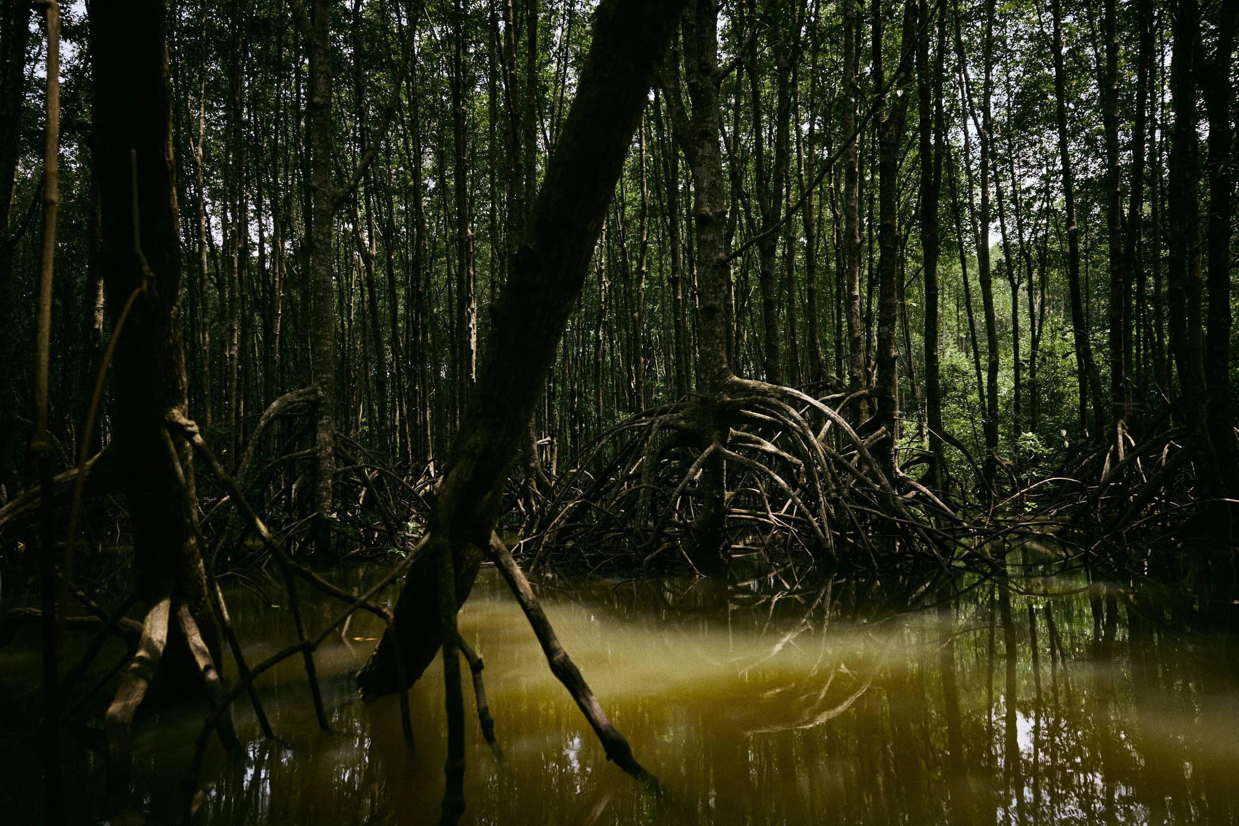 Social_Day08_05_Thailand_Phuket_Textures_15296.jpg