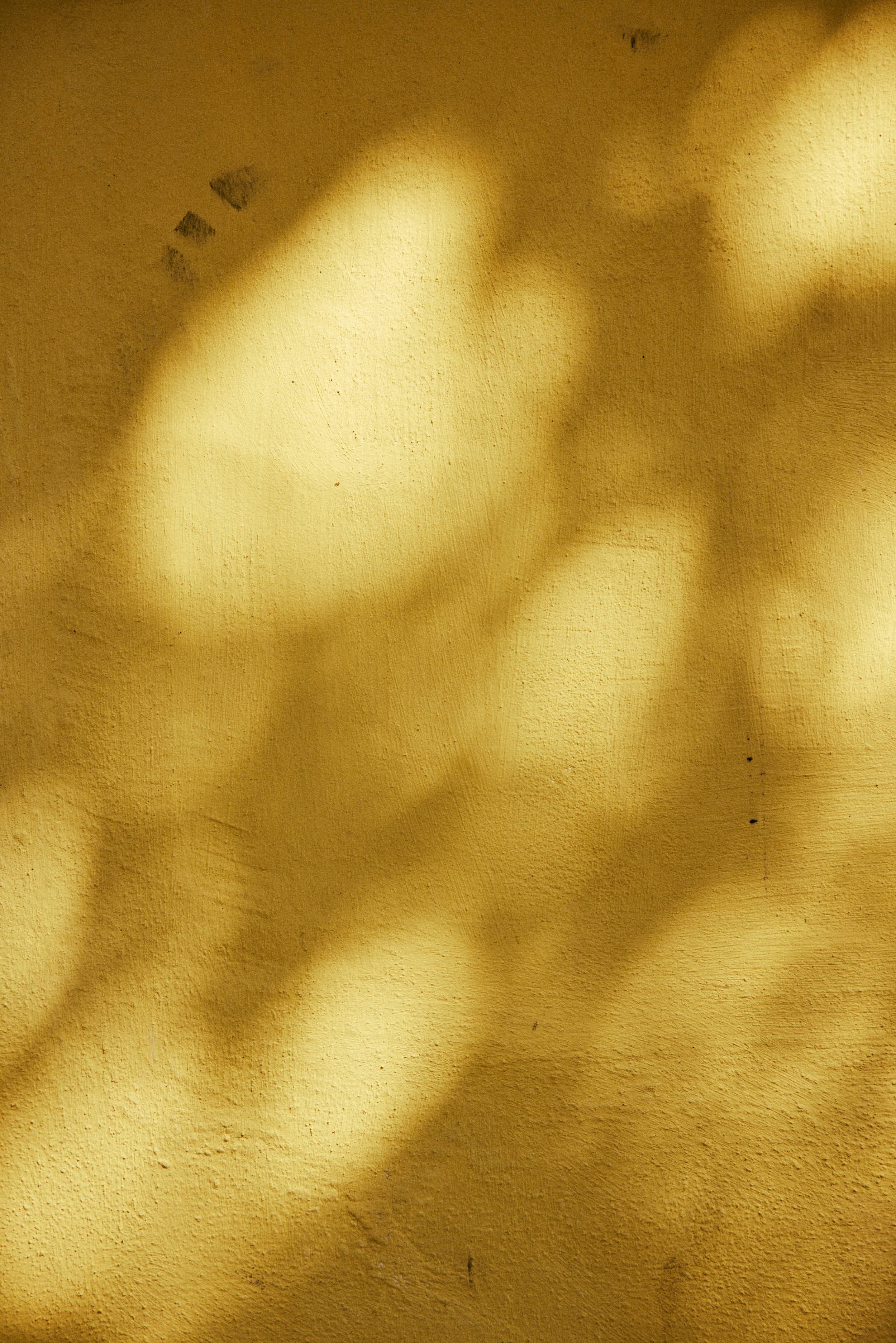 Social_Day03_01_Liguria_Italy_Overlook_Textures_4078.jpg