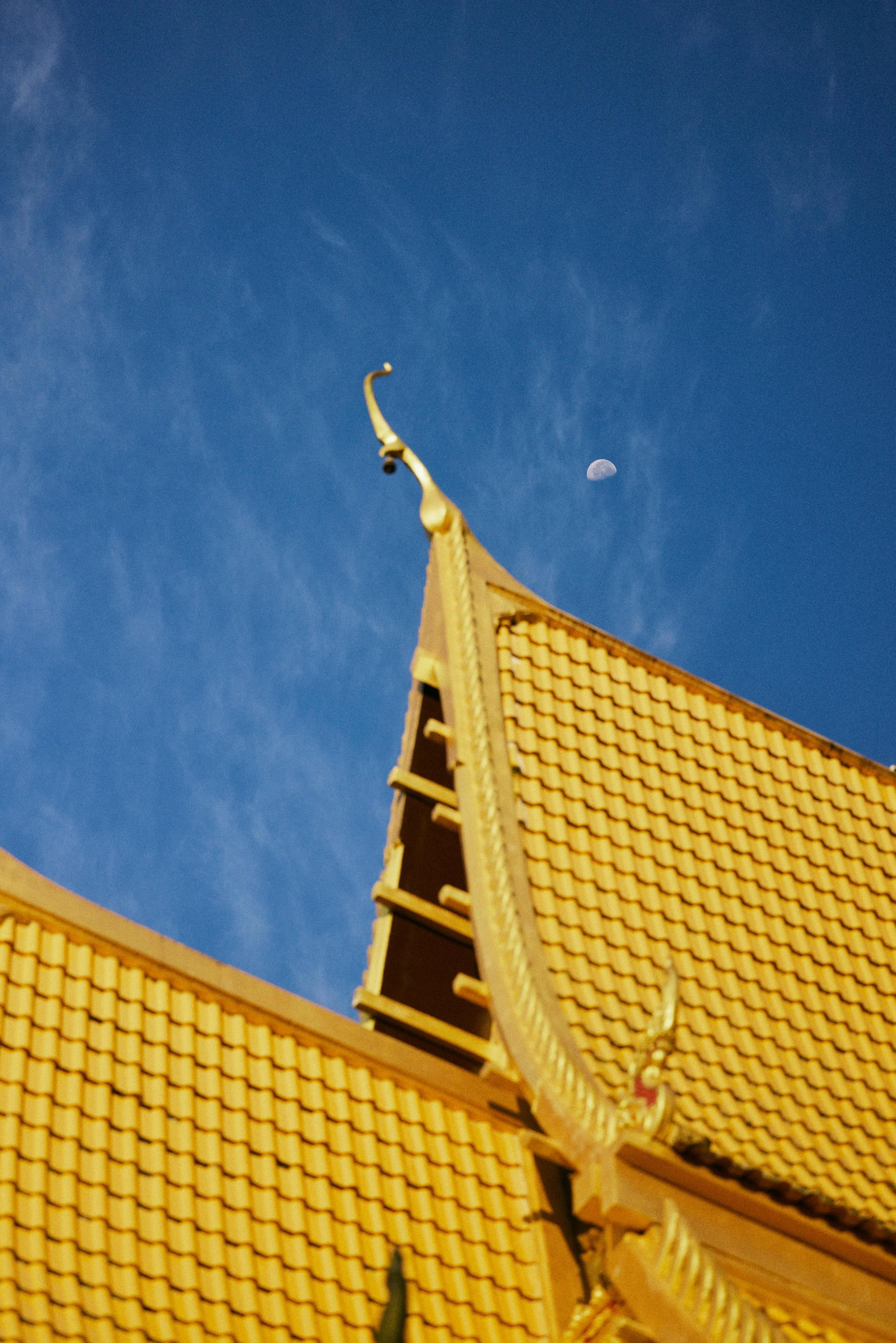 Social_Day08_01_Thailand_Phuket_Temple_Textures_11578.jpg