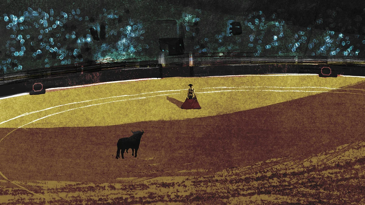 toroimg001.jpg