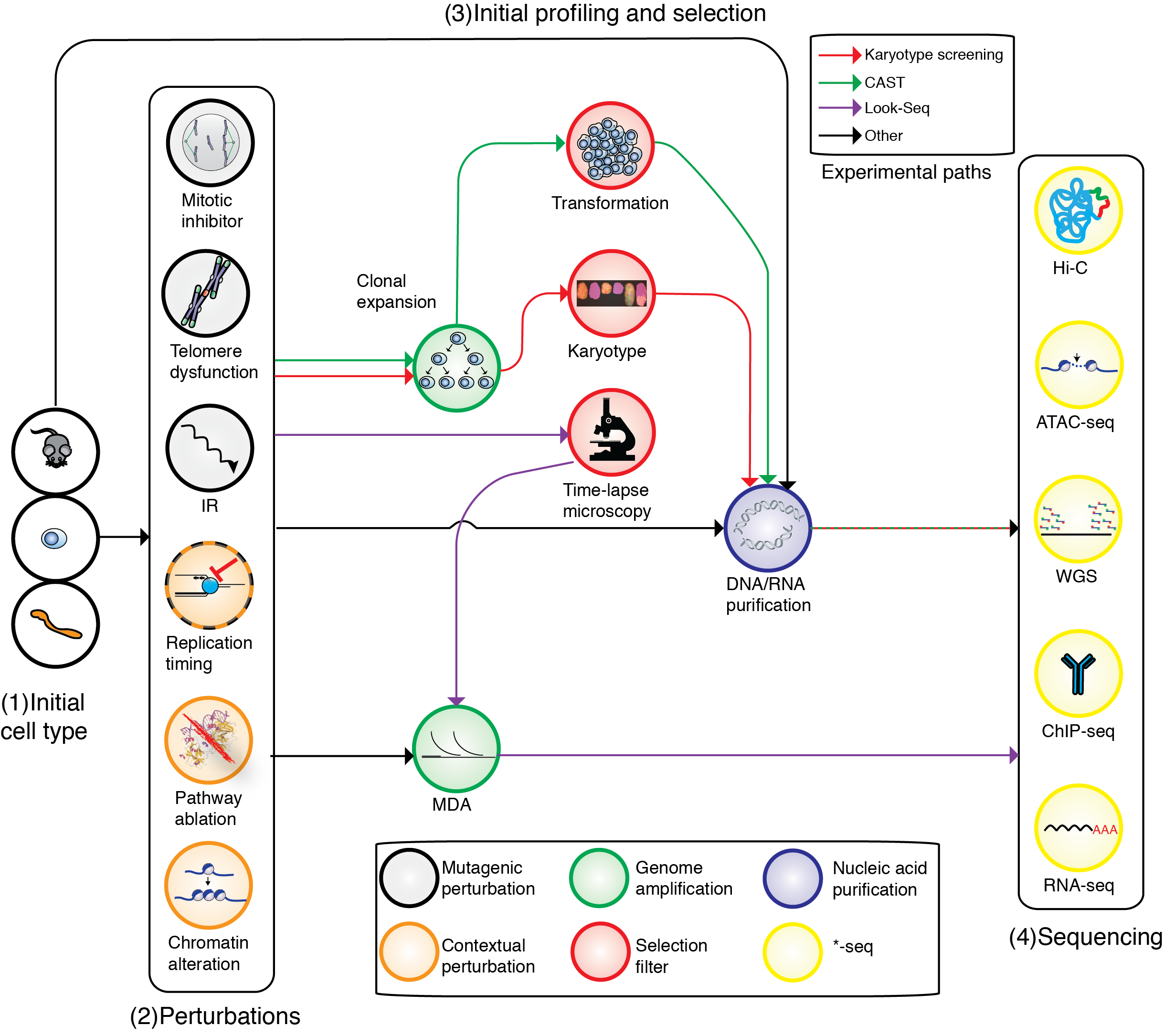 DNA signatures of somatic mutation processes and genome integrity defects