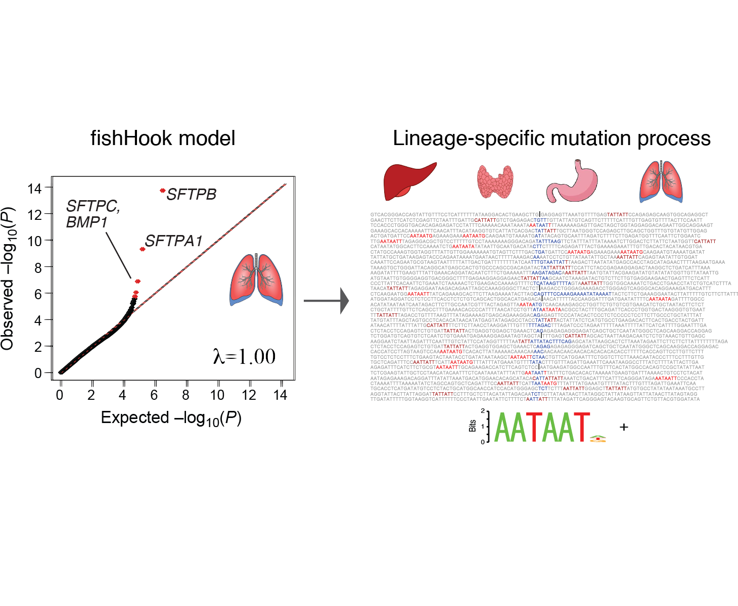 genomic footprints of cancer cell-of-origin