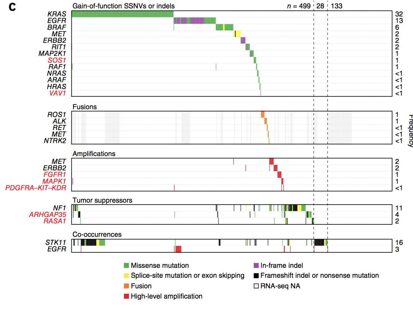 Distinct patterns of somatic genome alterations in lung adenocarcinomas and squamous cell carcinomas.