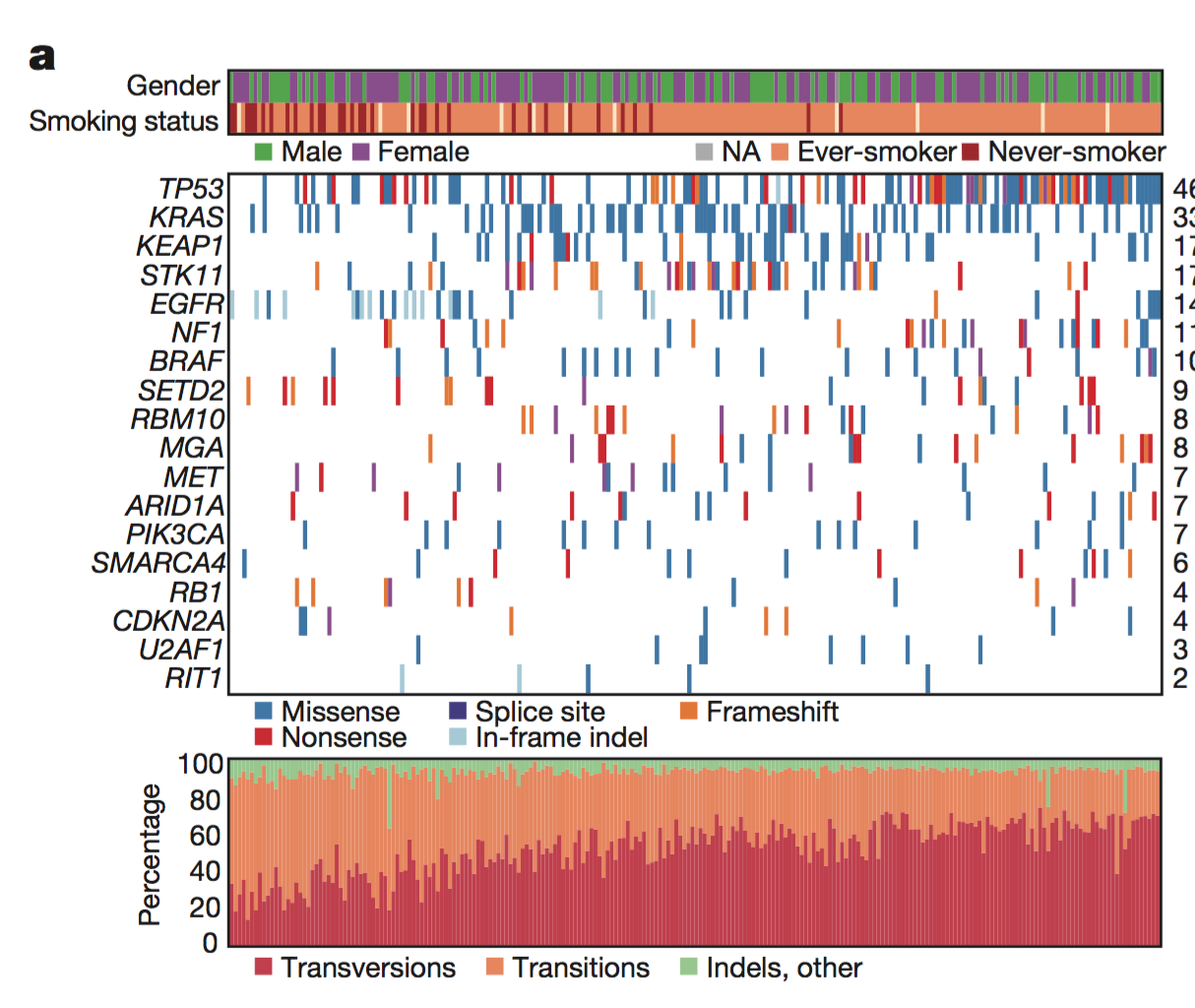 Comprehensive molecular profiling of lung adenocarcinoma.