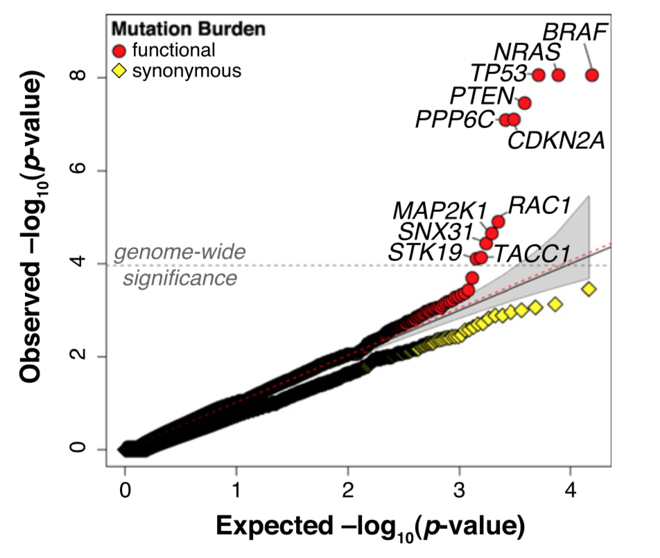 A landscape of driver mutations in melanoma.