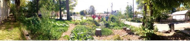 Image from http://www.seedleaf.org/