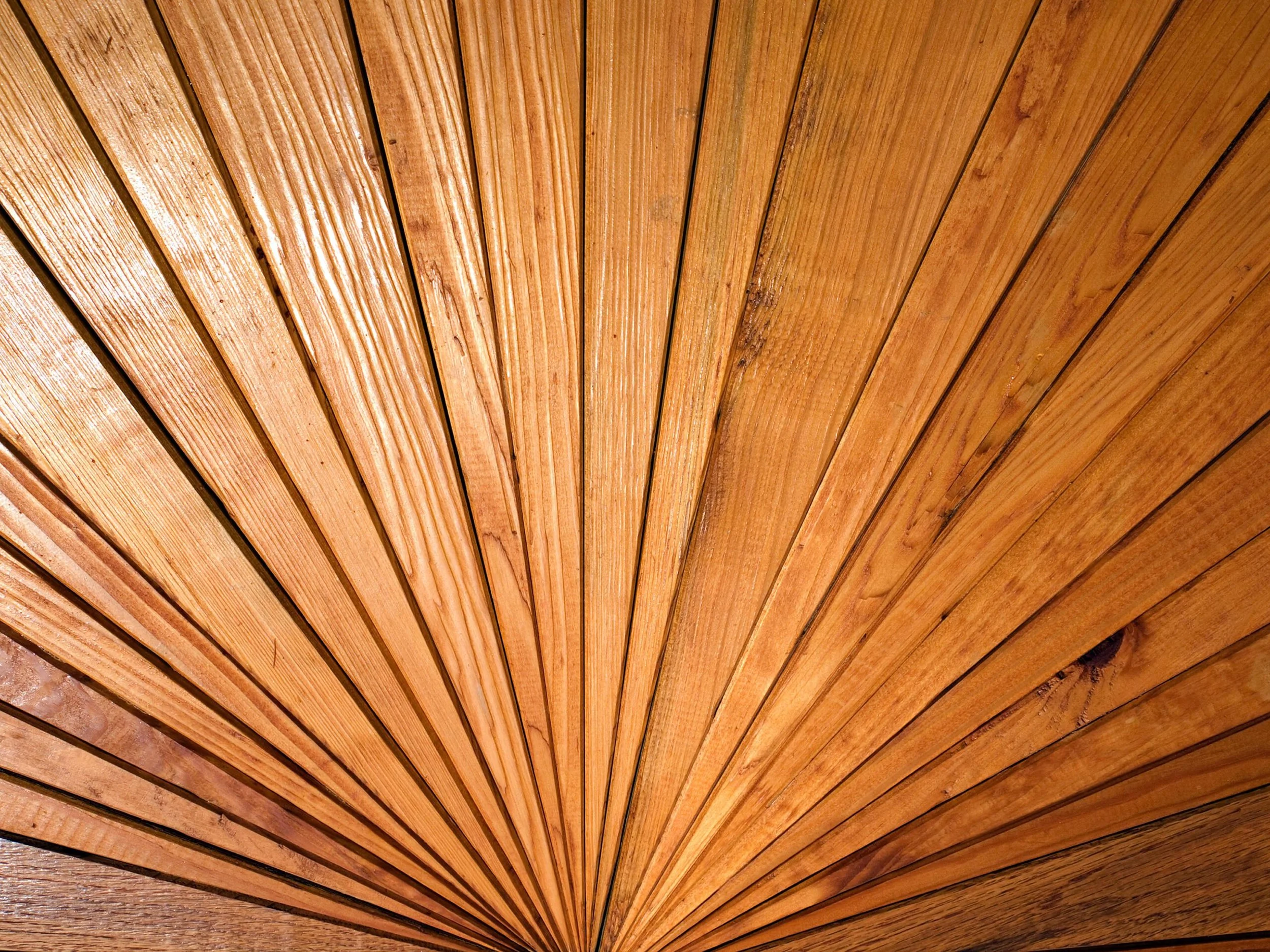 AdobeStock_86158383-scaled (1).jpeg