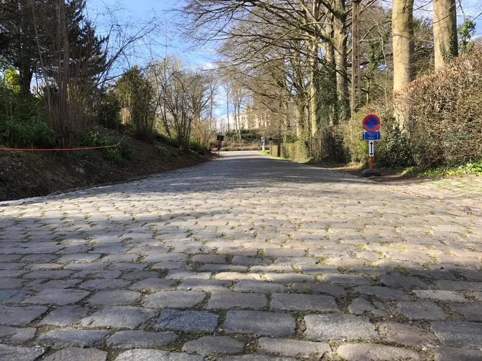 Cobbles eye view...