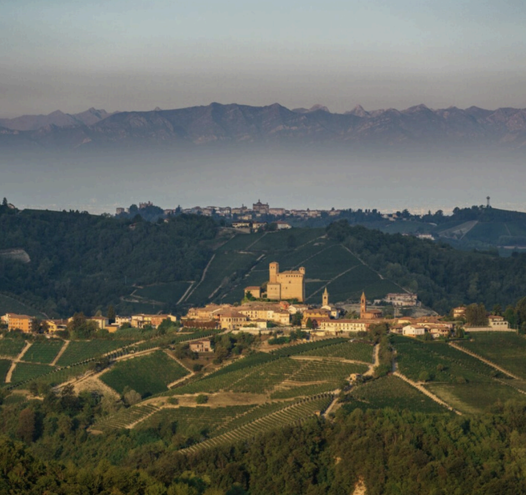 Screenshot 2025-02-04 at 10.56.17 AM.png