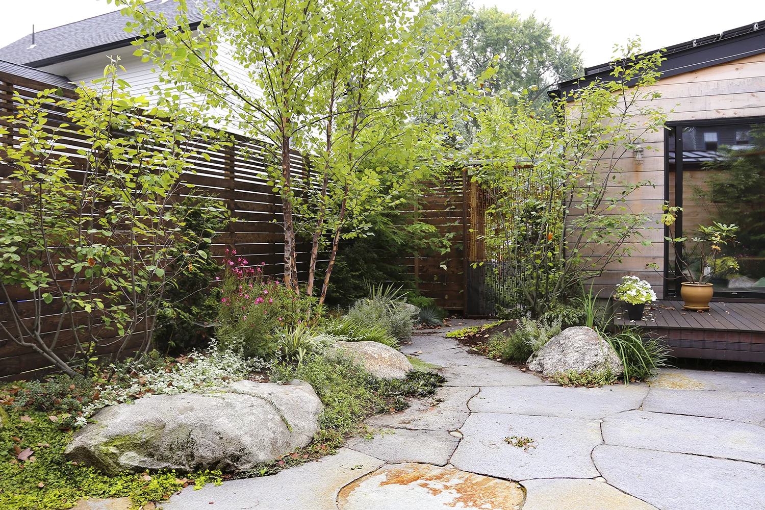 courtyard_6.jpg