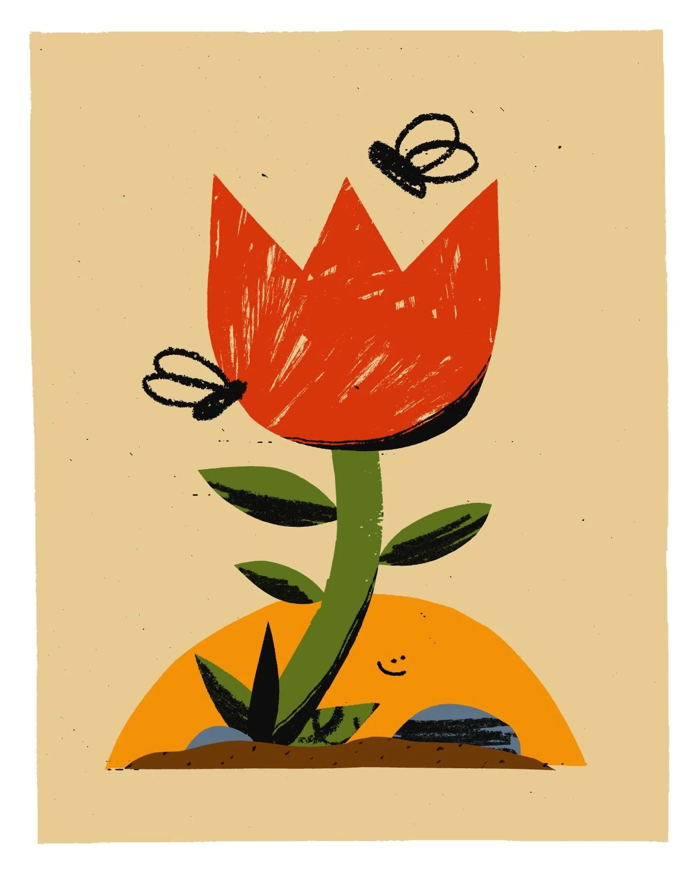 Flower bud warm-up from the morning ☀️