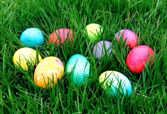 Easter-Egg-Hunt.jpg