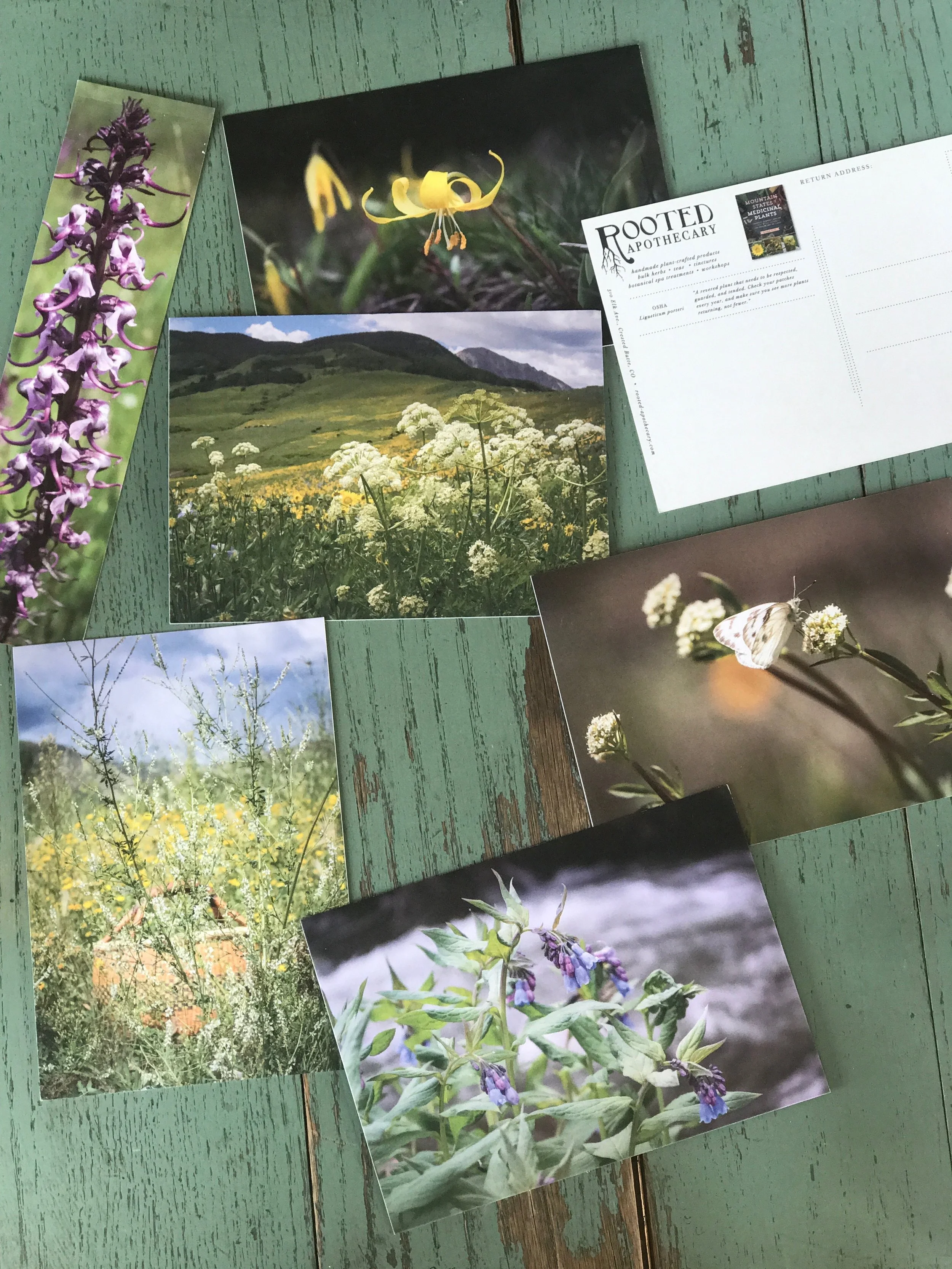POSTCARDS.jpg