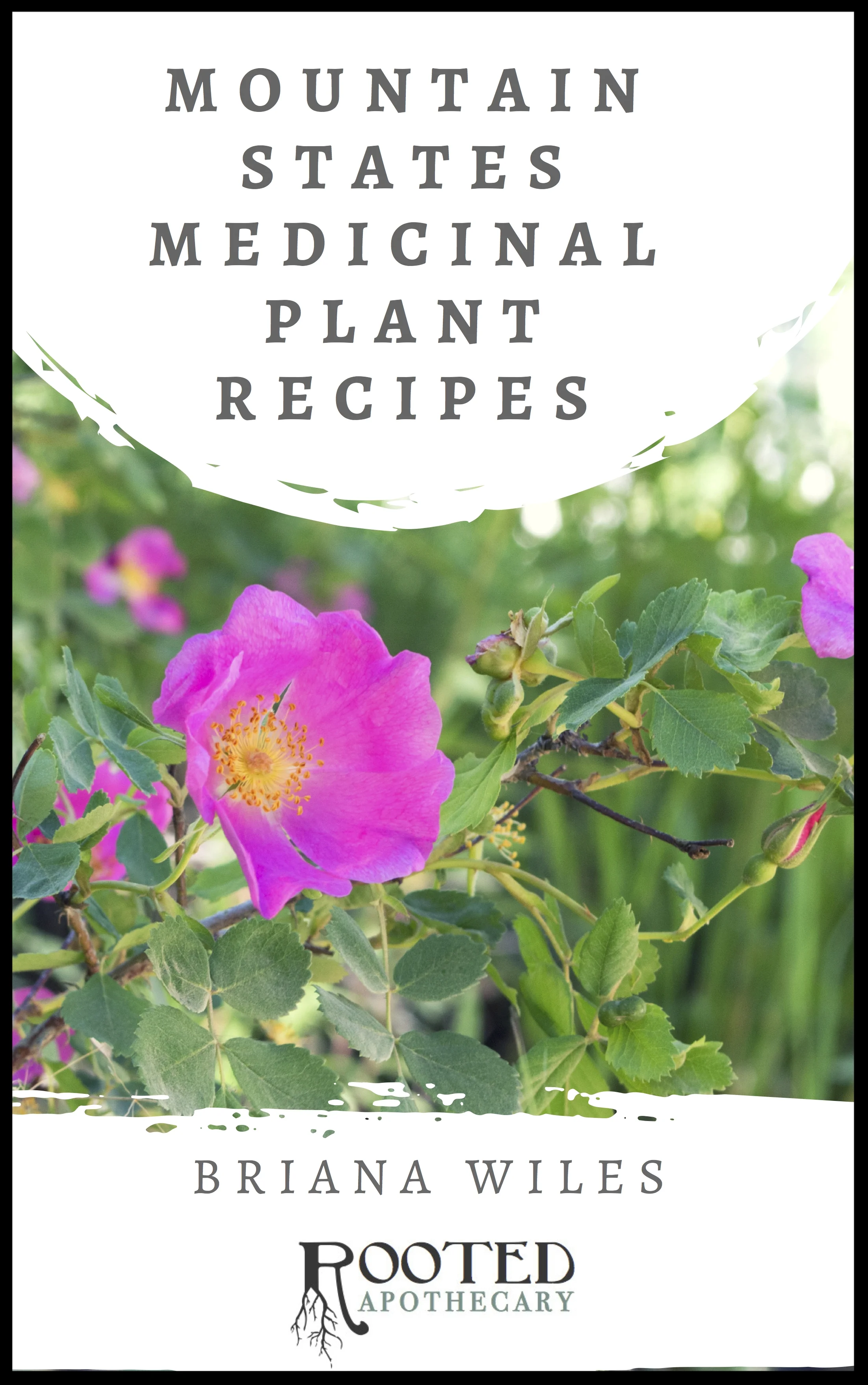 cover photo eBook Mountain States Medicinal Recipes.jpg