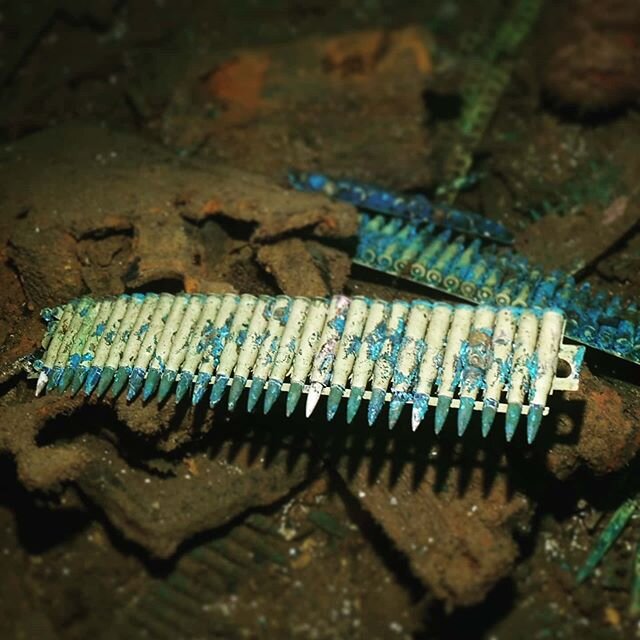 Dive finds: look, don't touch! Bullets from World War II in Truk Lagoon- at the time, a stronghold for Japan's forces.

#hamptondivecenter #scuba #diving #divetravel #worldwar2 #history #guns #bullets #scubadive #micronesia