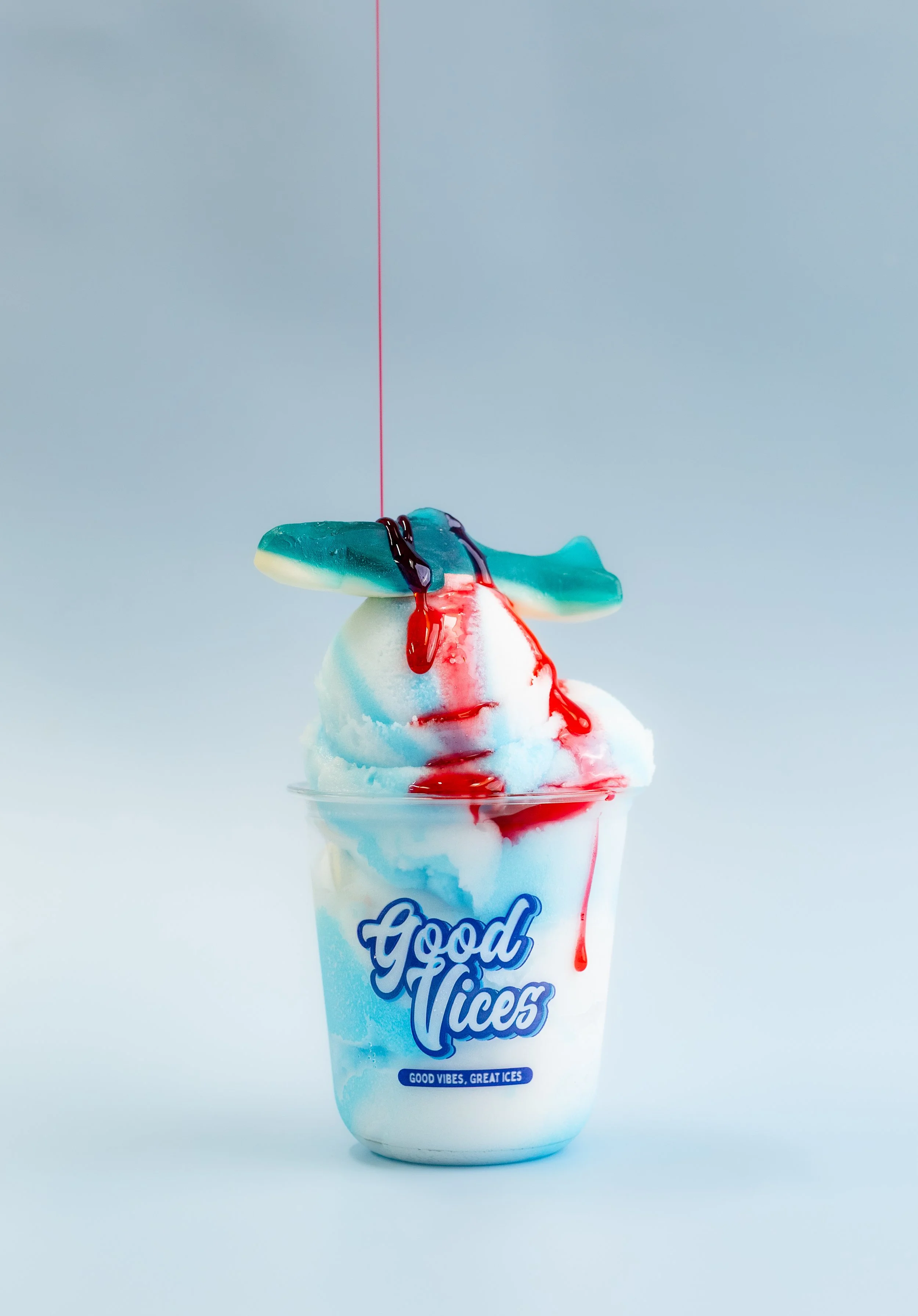 goodvices-53.jpg