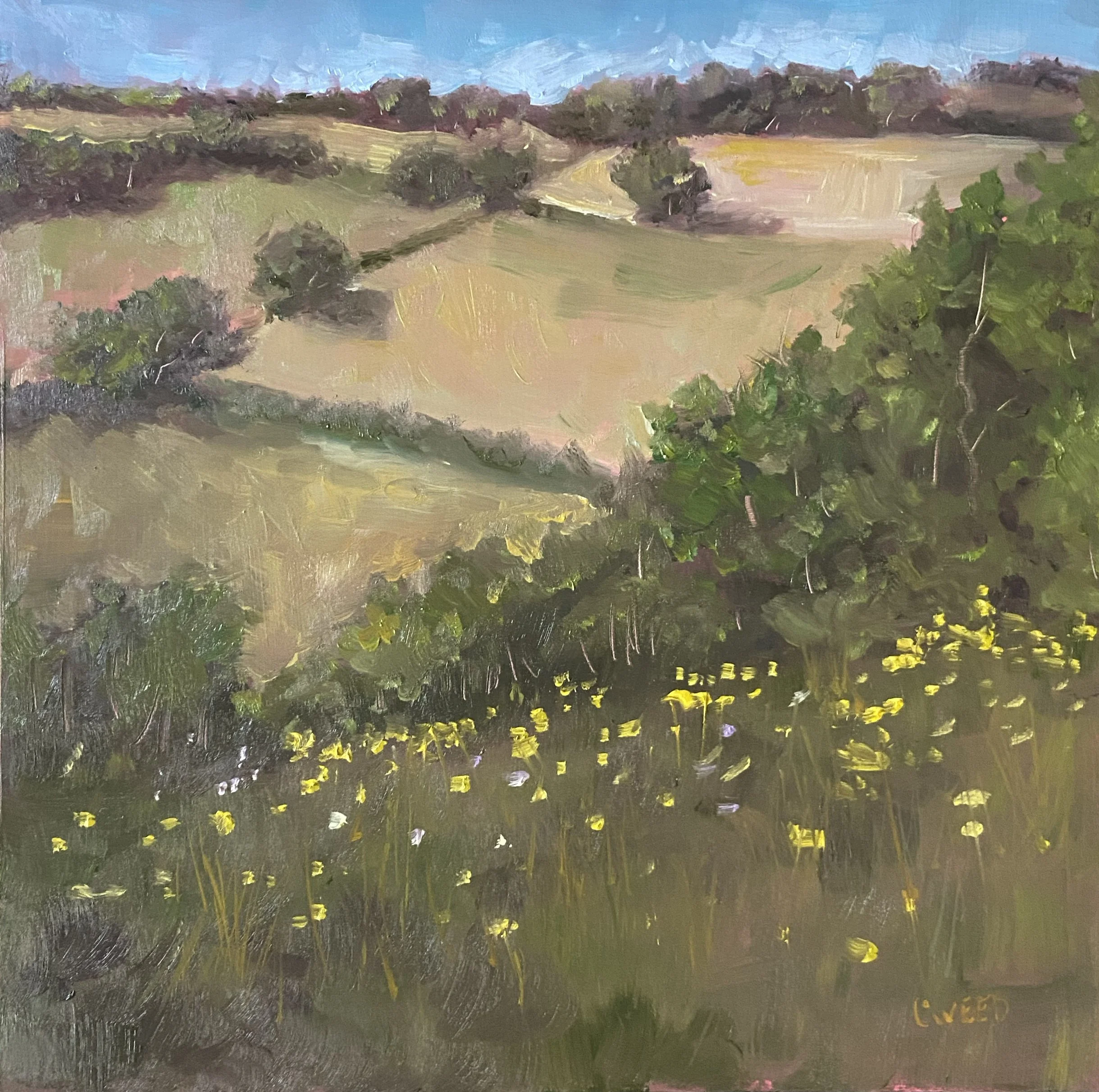 Distant Fields 12%22x12%22.jpg
