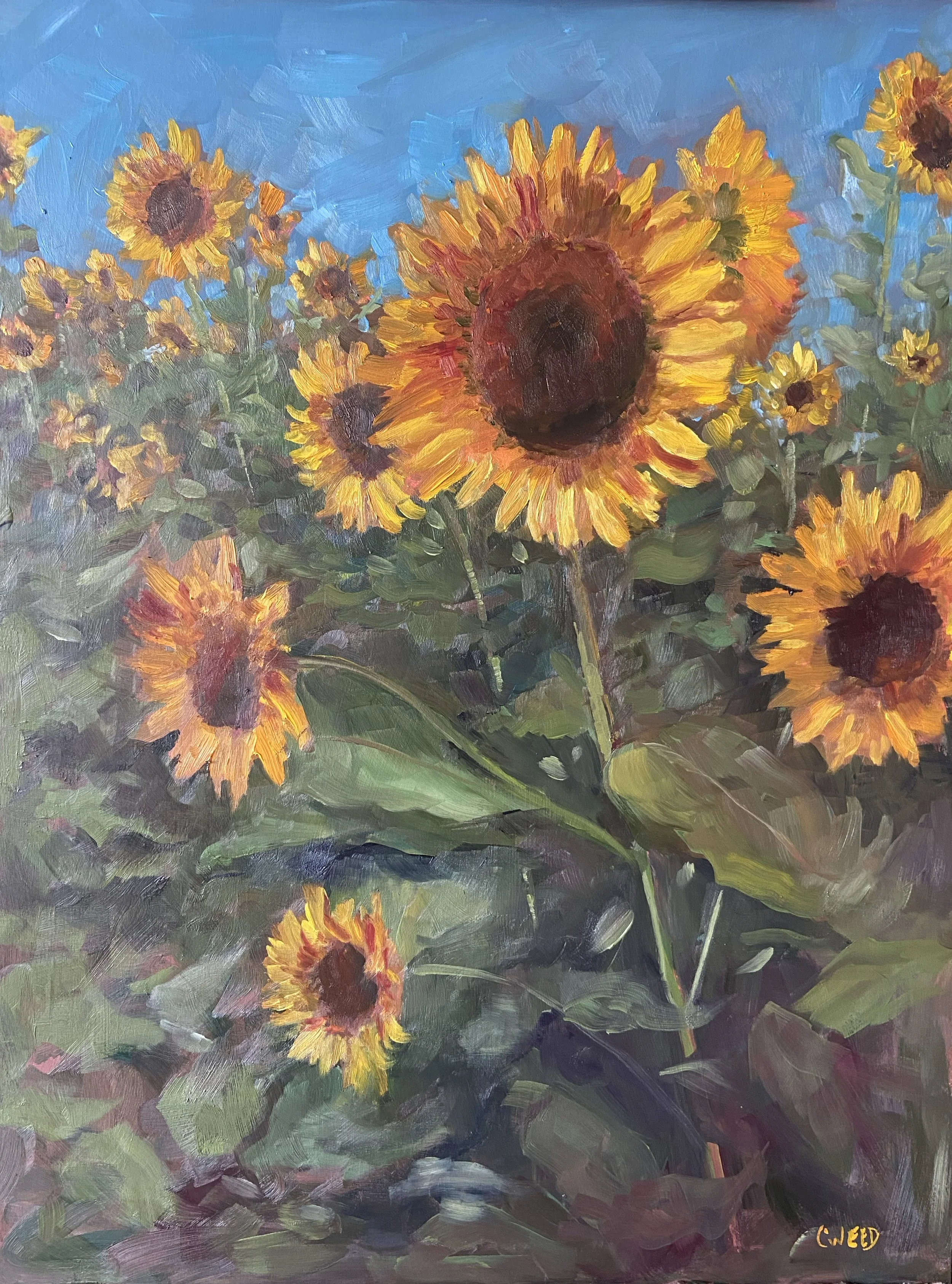 Sun Worshipers 18'x24%22.jpg