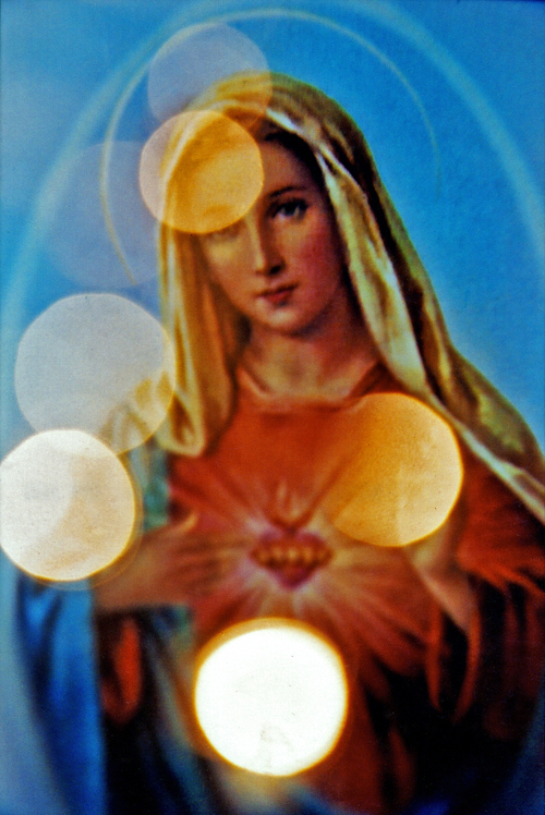 Our Lady in Lights